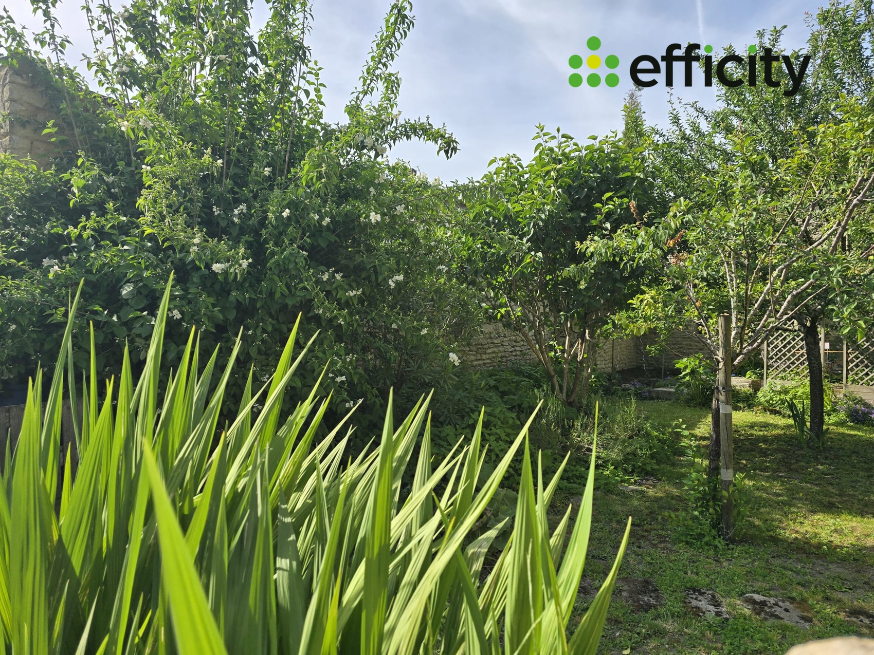 Achat immobilier Maison 6 pièces  161m2 à Muron (17430) - Photo n°4