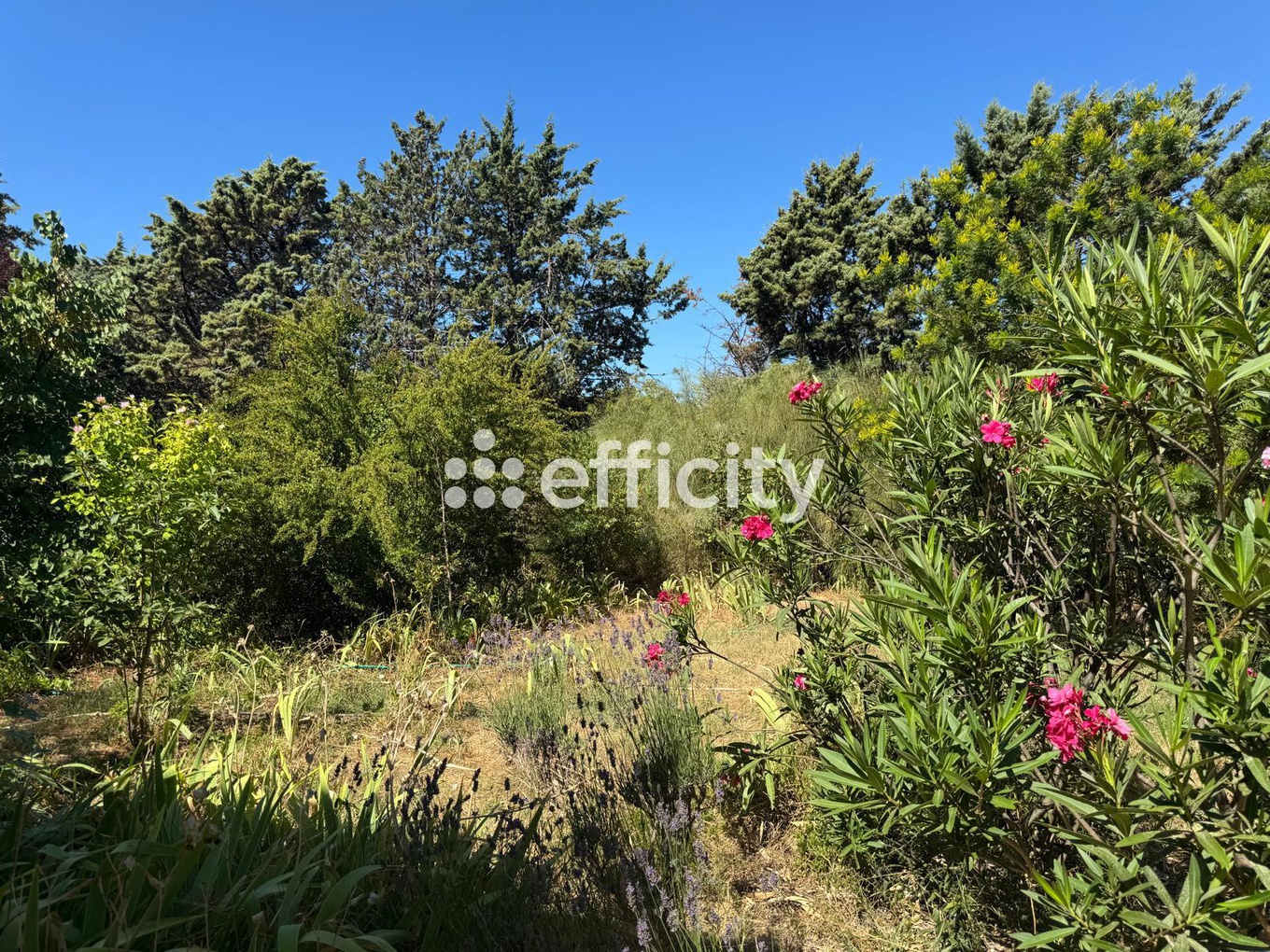 Achat immobilier Maison 7 pièces  125m2 à Sanary-sur-Mer (83110) - Photo n°16