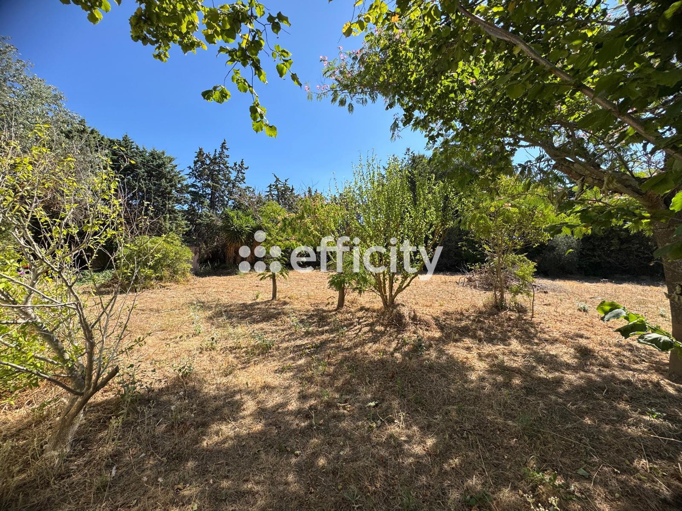 Achat immobilier Maison 7 pièces  125m2 à Sanary-sur-Mer (83110) - Photo n°4