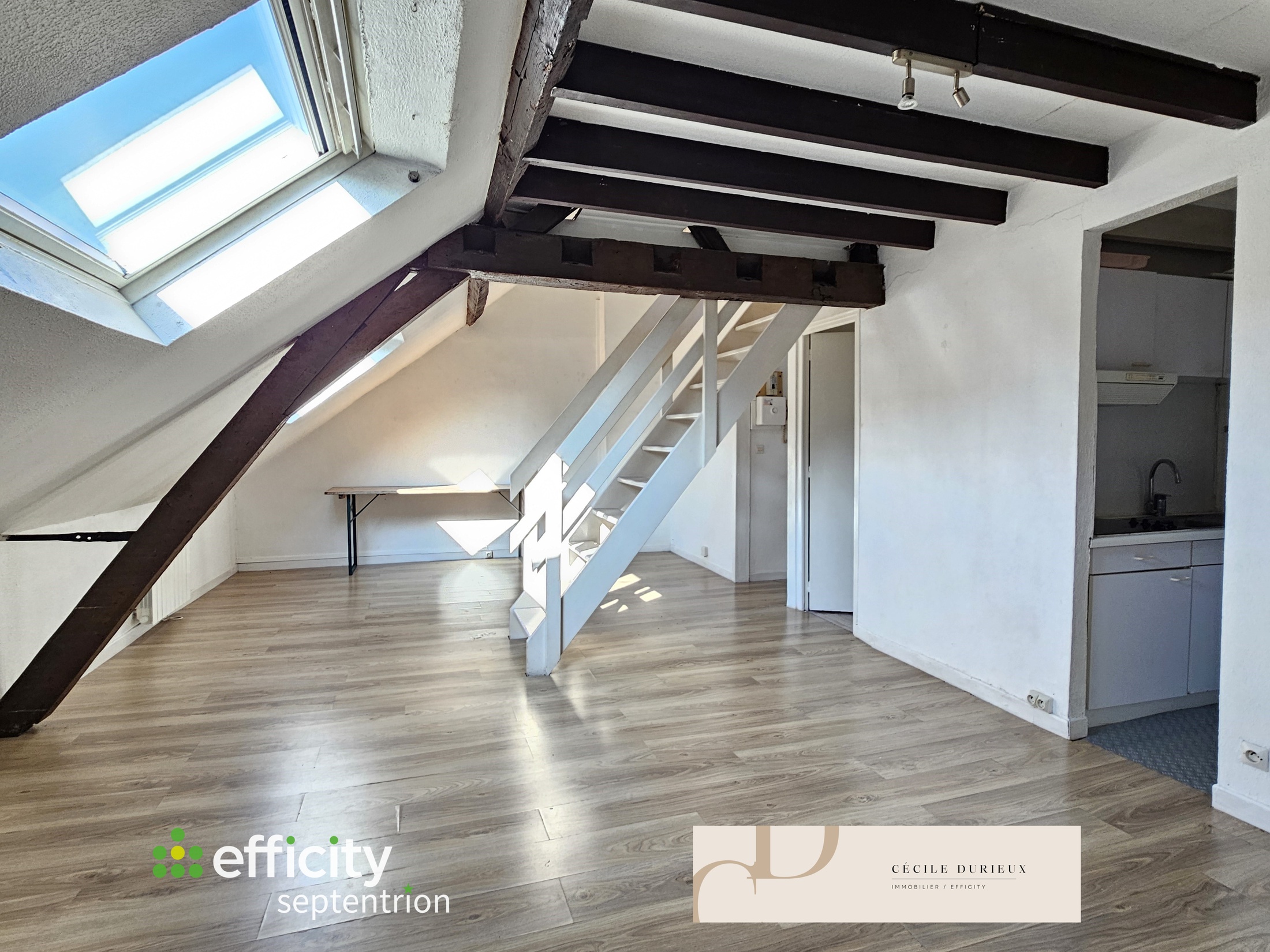 appartement 2 pièces - 50m2 à Lille (59800)