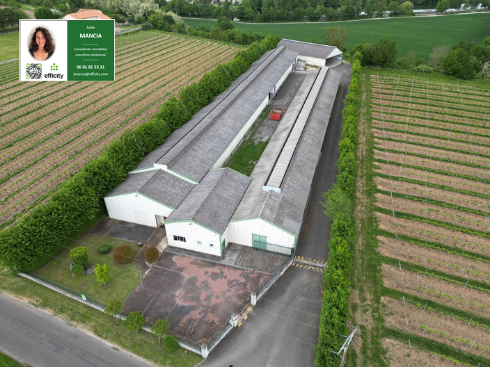 local commercial 6 pièces - 2282m2 à Angoulême (16000)