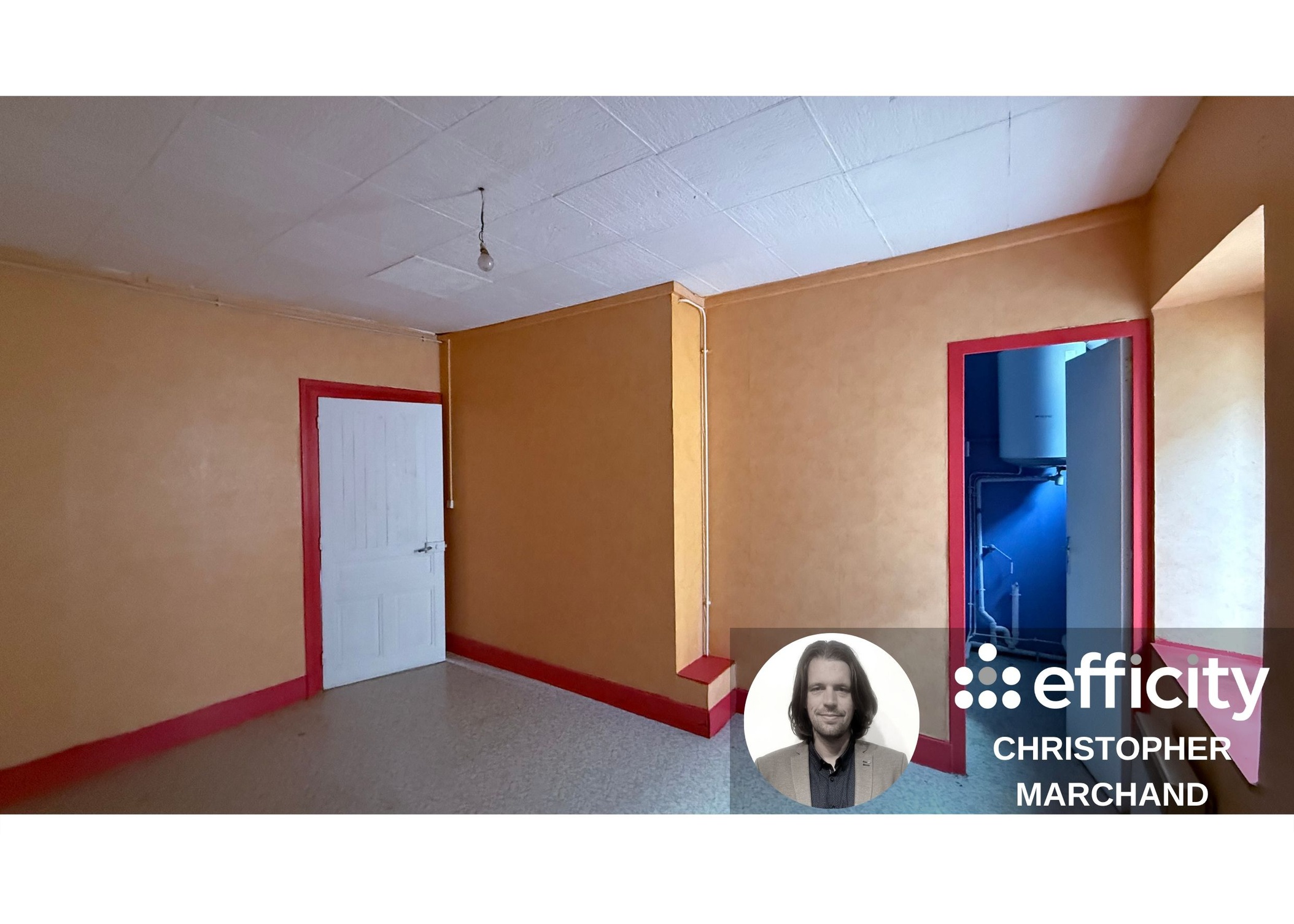 Achat immobilier Immeuble   382m2 à Nantua (01130) - Photo n°5