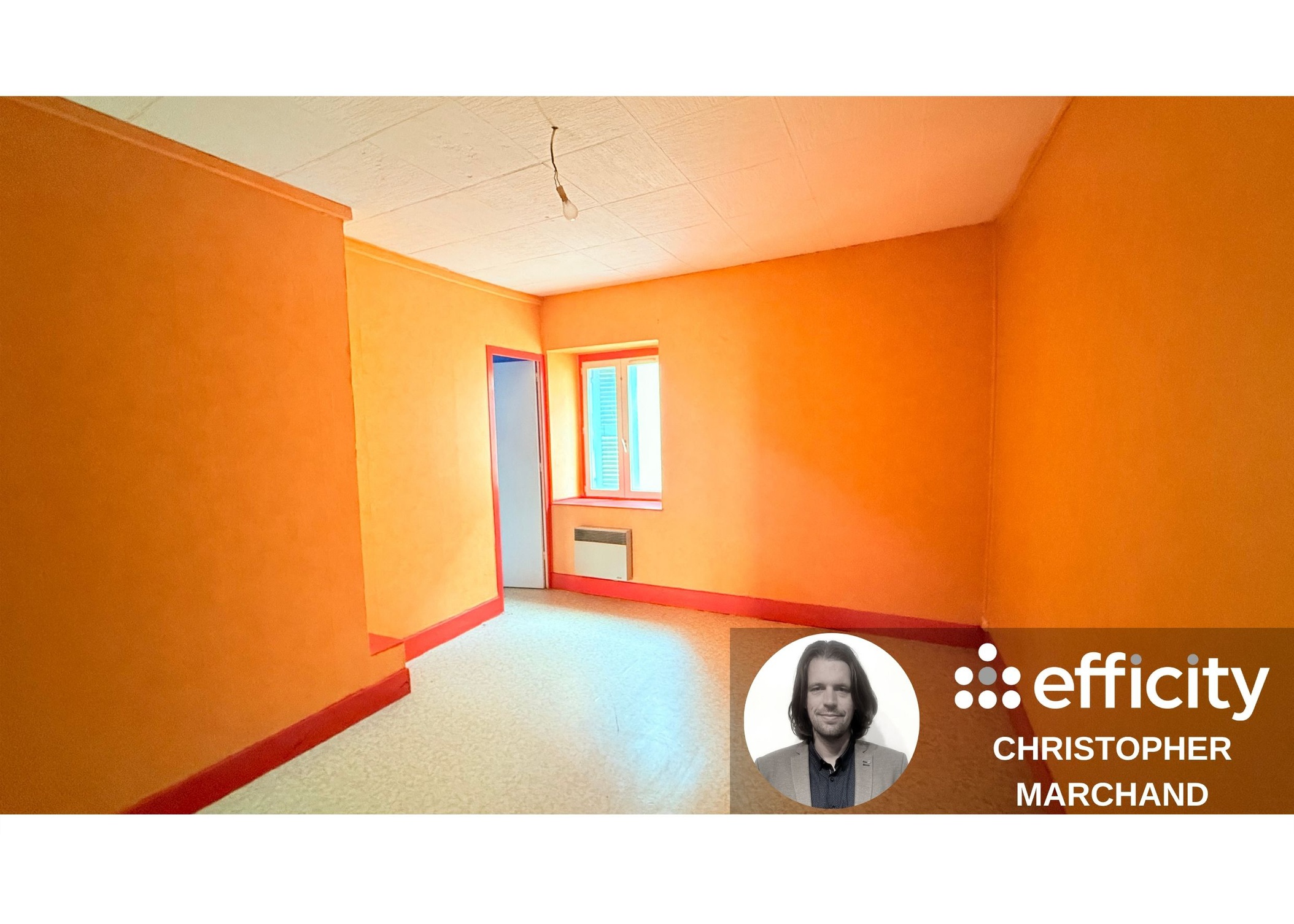Achat immobilier Immeuble   382m2 à Nantua (01130) - Photo n°4