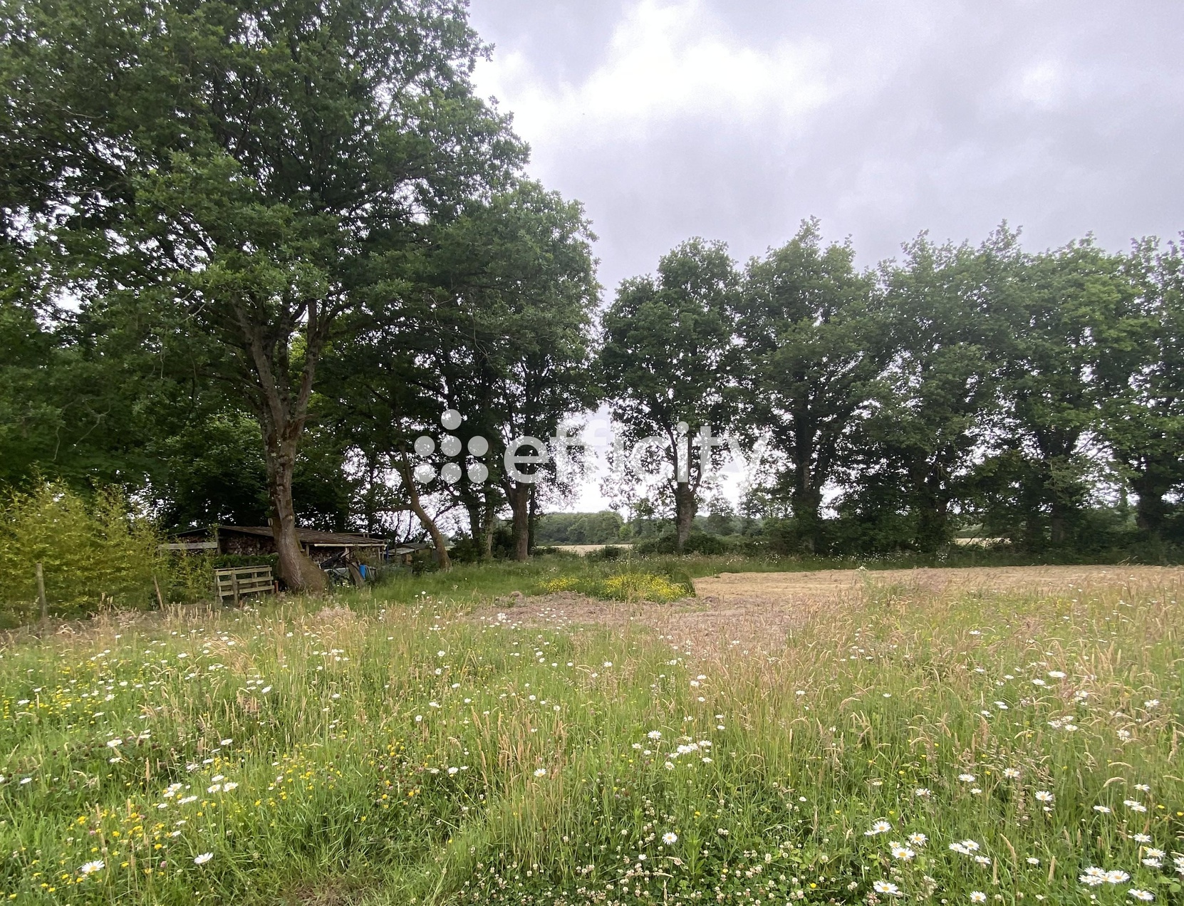 terrain  - 706m2 à Le Cellier (44850)
