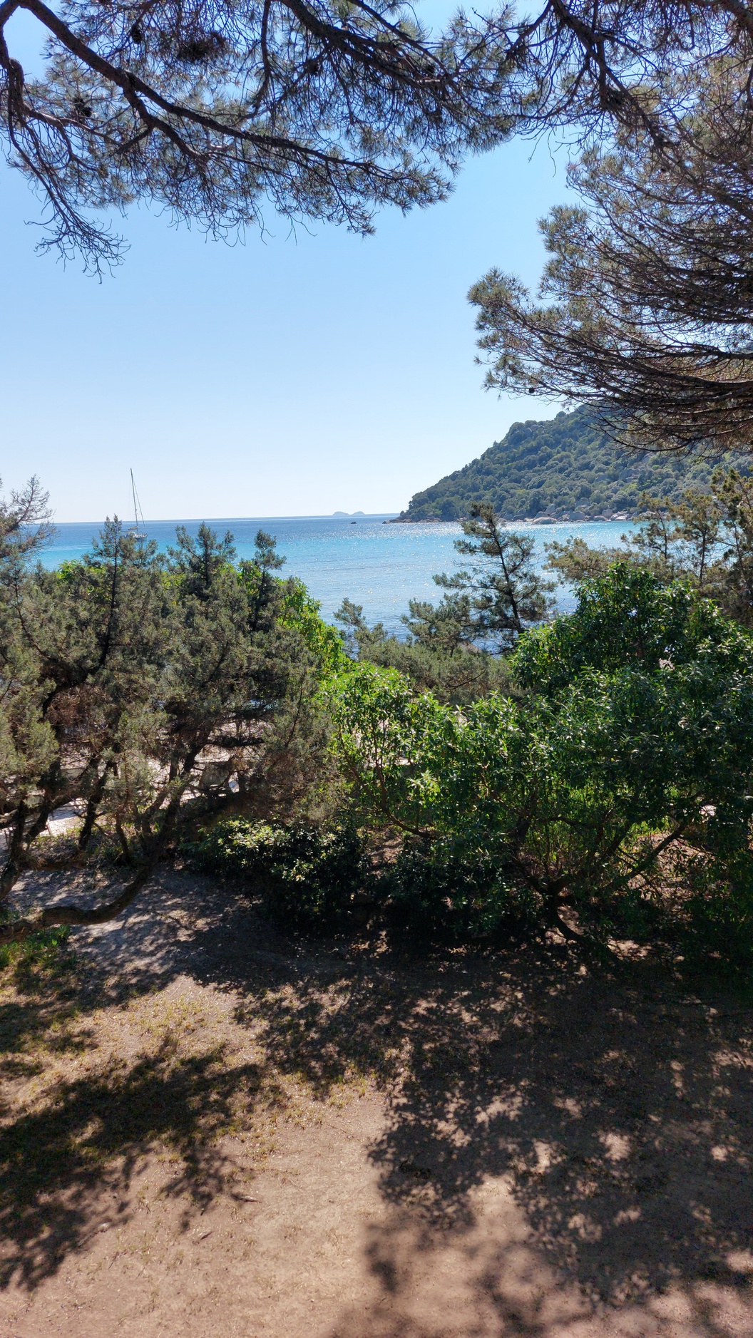 maison 6 pièces - 120m2 à Porto-Vecchio (20137)