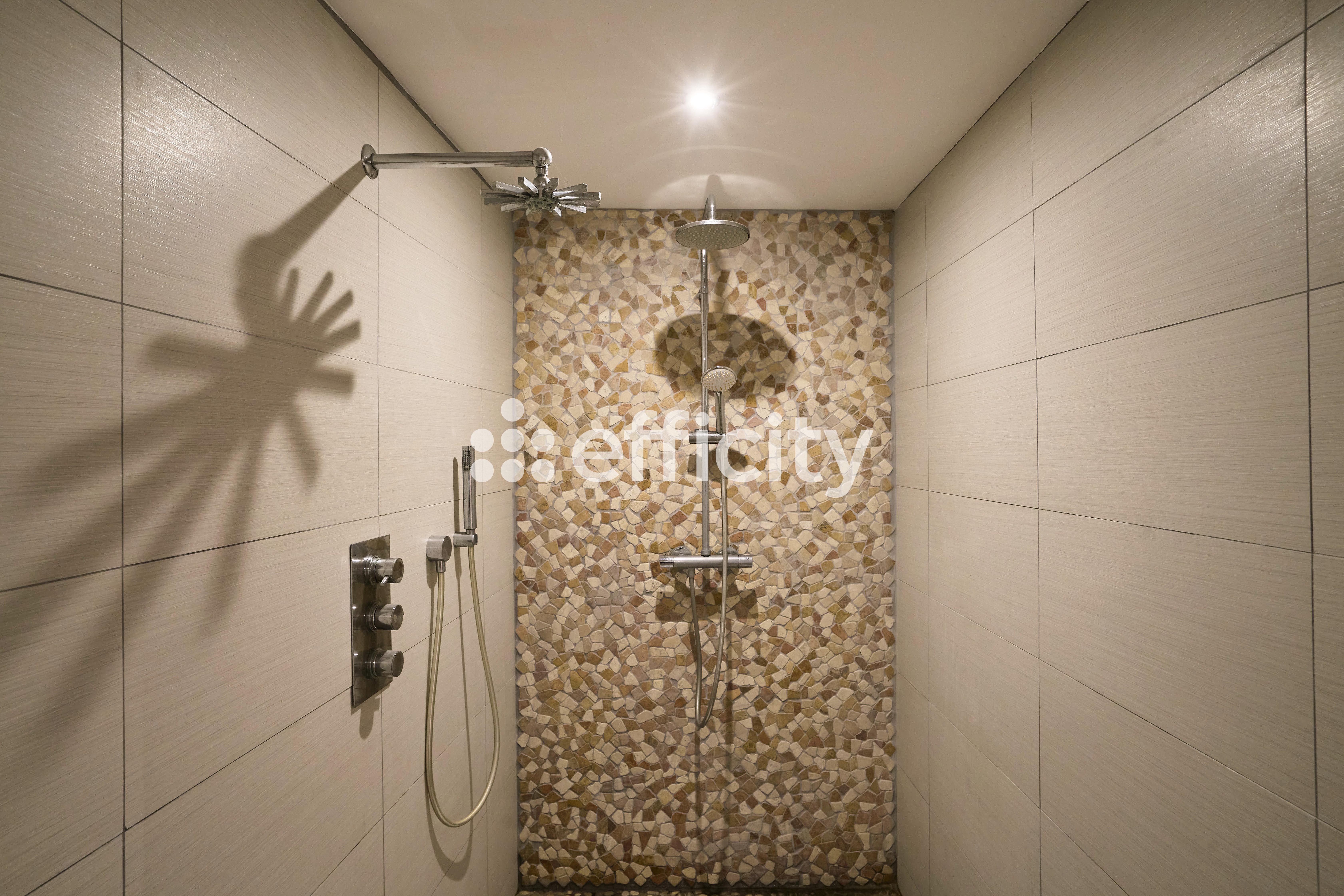 Achat immobilier Loft 4 pièces  243m2 à Roubaix (59100) - Photo n°14