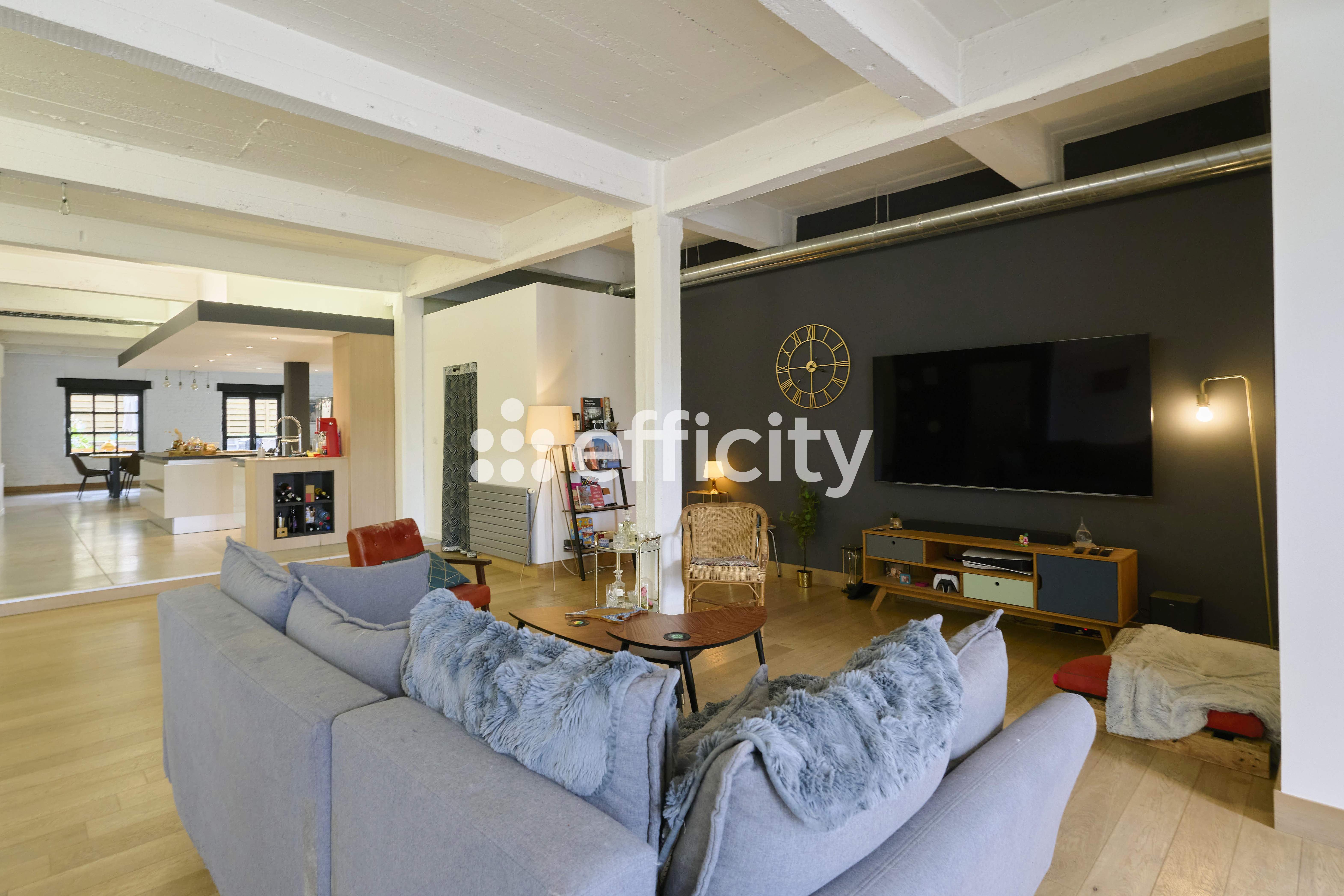 Achat immobilier Loft 4 pièces  243m2 à Roubaix (59100) - Photo n°4