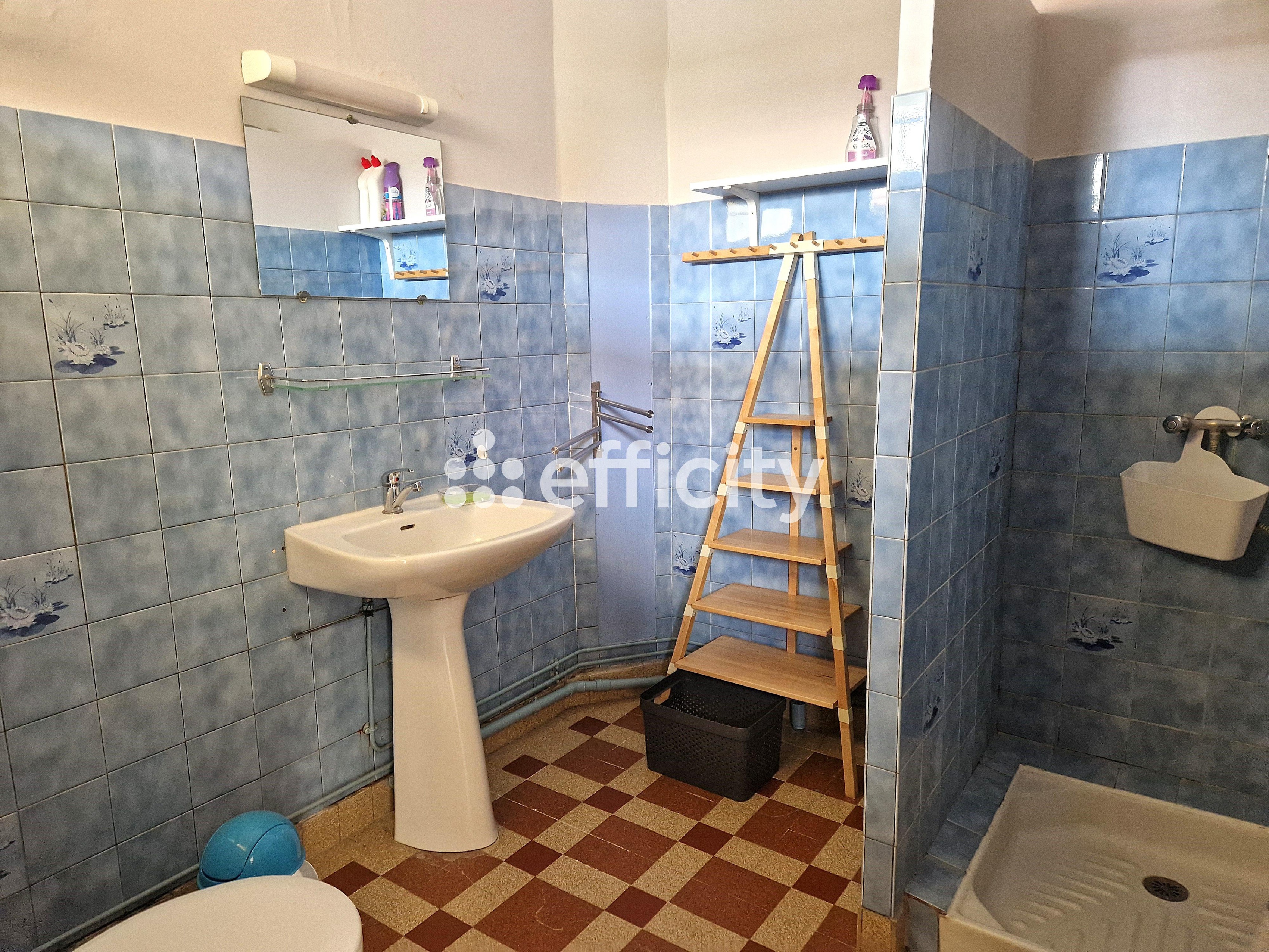 Achat immobilier Maison 10 pièces  210m2 à Saint-Palais-sur-Mer (17420) - Photo n°20