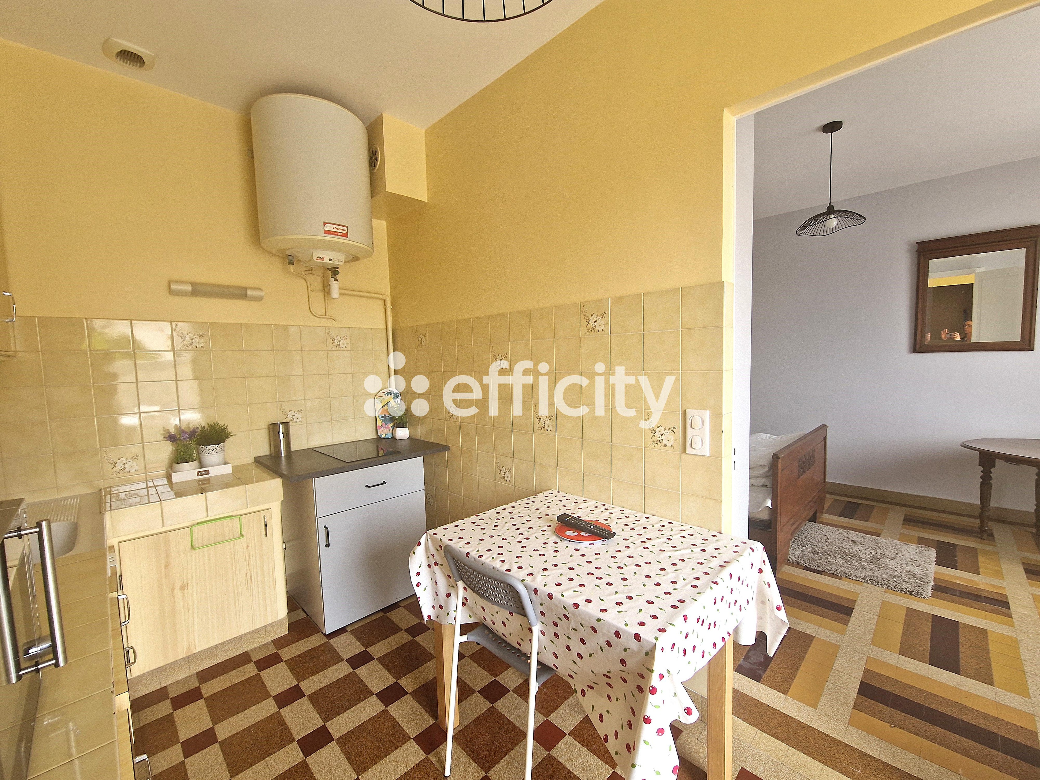 Achat immobilier Maison 10 pièces  210m2 à Saint-Palais-sur-Mer (17420) - Photo n°18