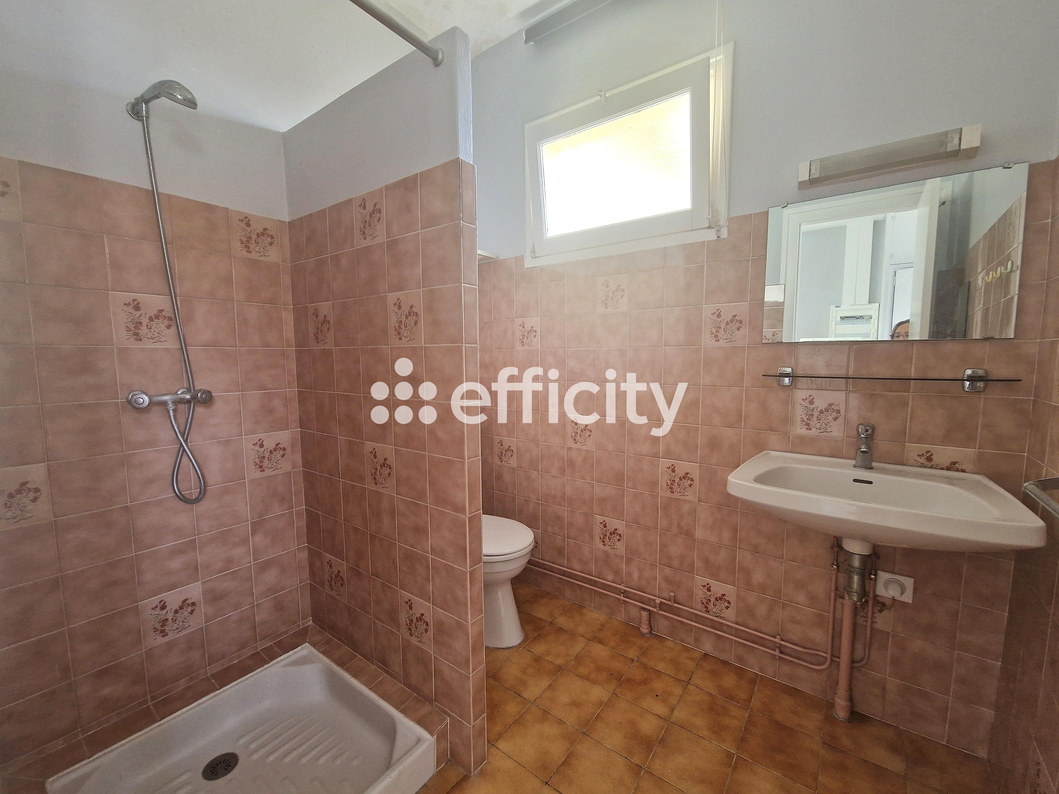 Achat immobilier Maison 10 pièces  210m2 à Saint-Palais-sur-Mer (17420) - Photo n°23