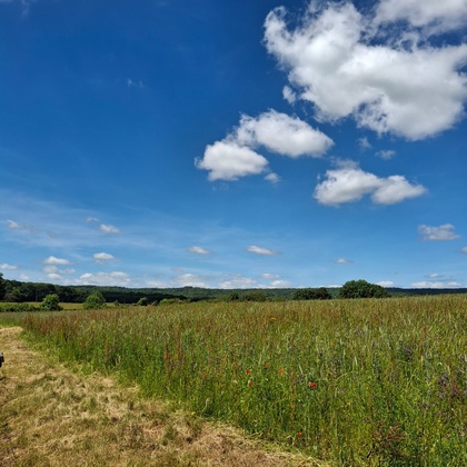terrain  - 1533m2 à Filain (70230)