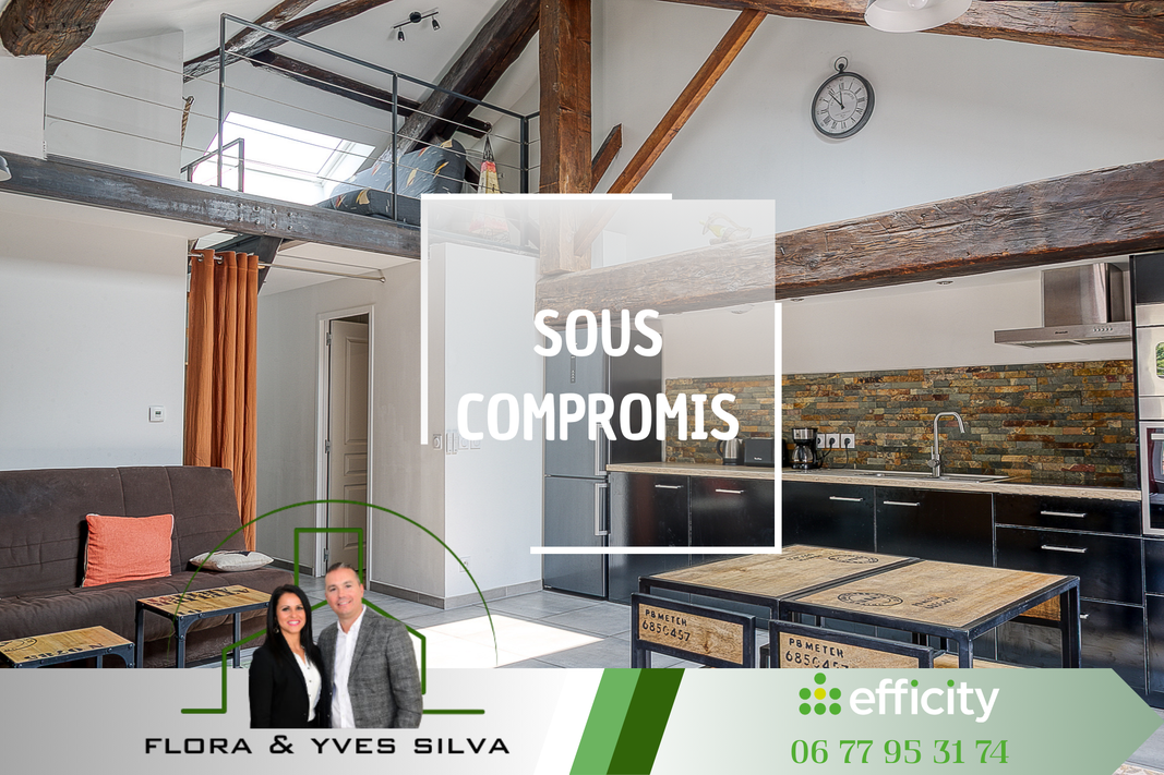 appartement 3 pièces - 60m2 à Loire-sur-Rhône (69700)