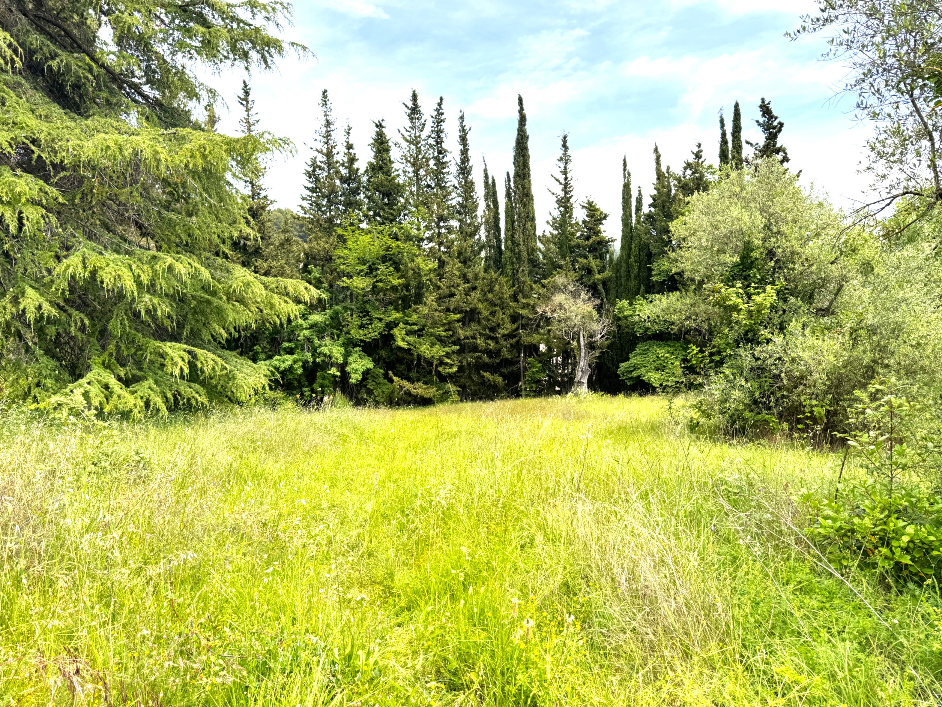 terrain  - 1000m2 à Tourrette-Levens (06690)