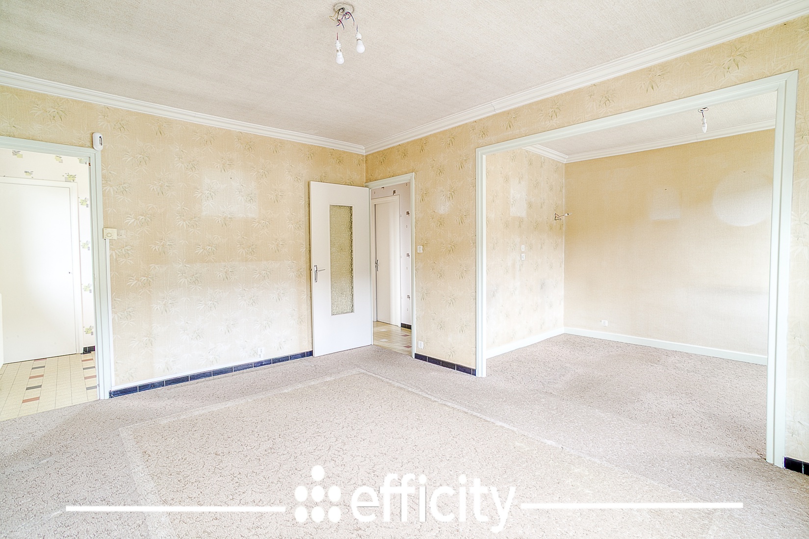 Achat immobilier Maison 4 pièces  79m2 à Chasse-sur-Rhône (38670) - Photo n°29