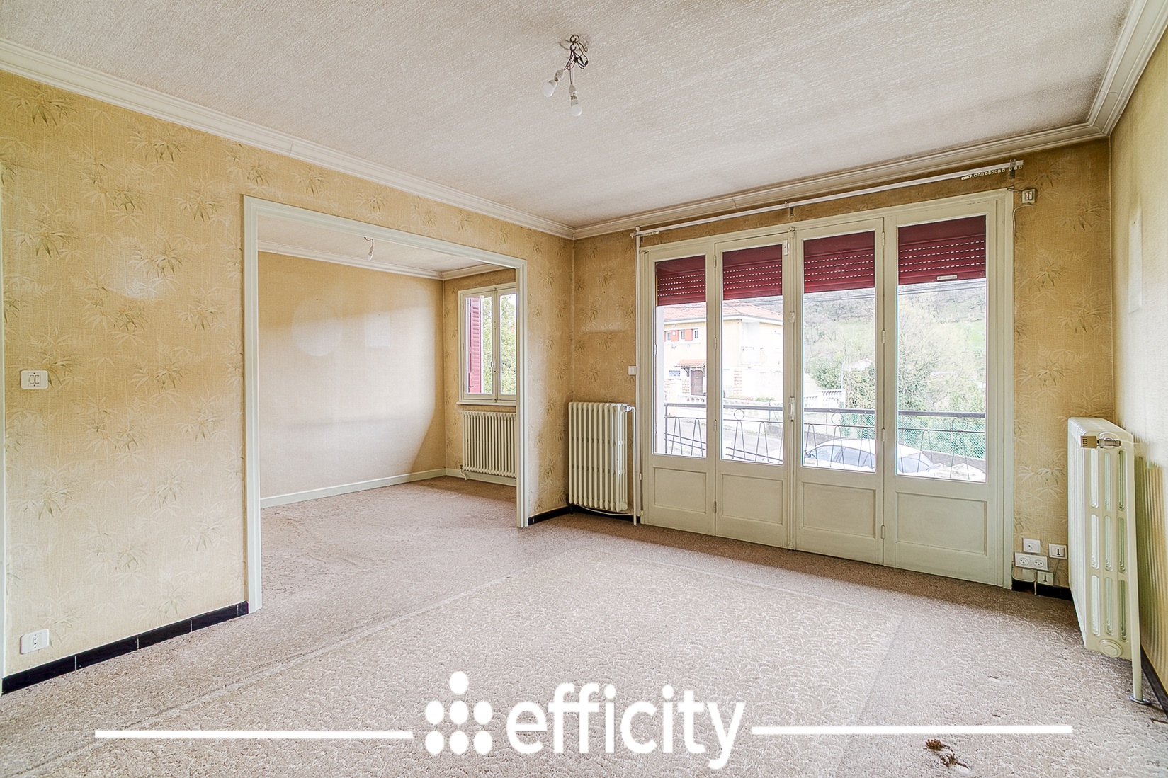 Achat immobilier Maison 4 pièces  79m2 à Chasse-sur-Rhône (38670) - Photo n°4