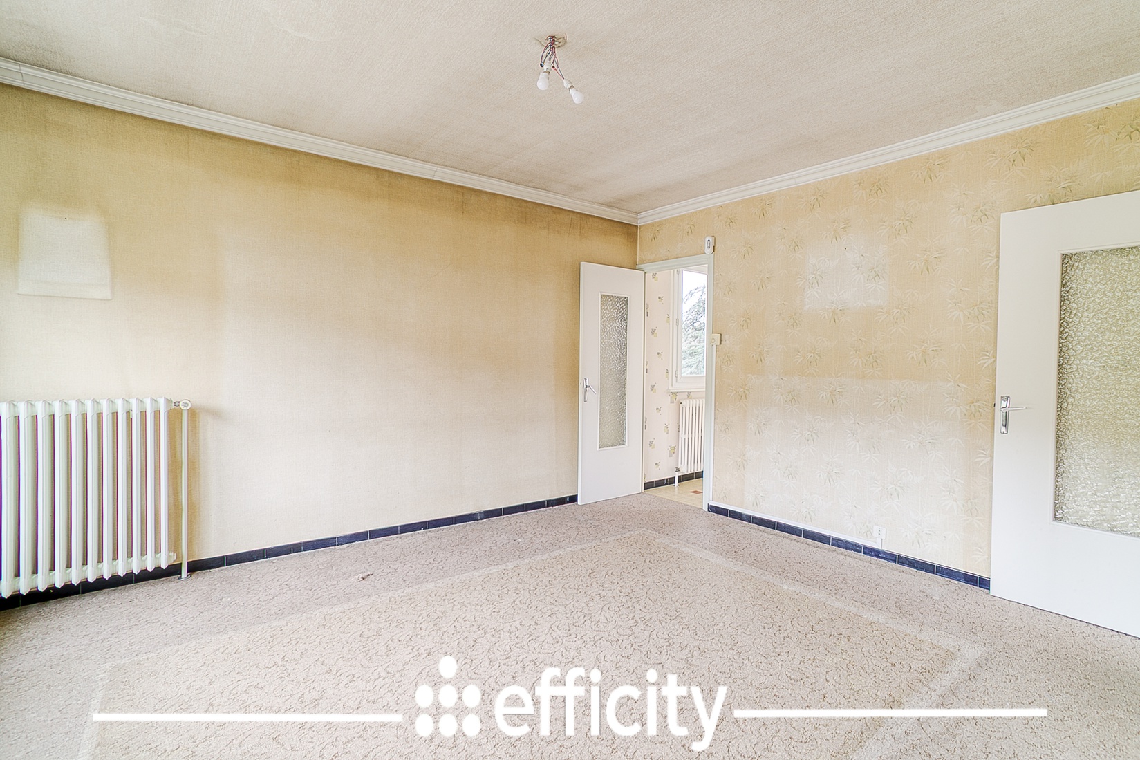 Achat immobilier Maison 4 pièces  79m2 à Chasse-sur-Rhône (38670) - Photo n°25