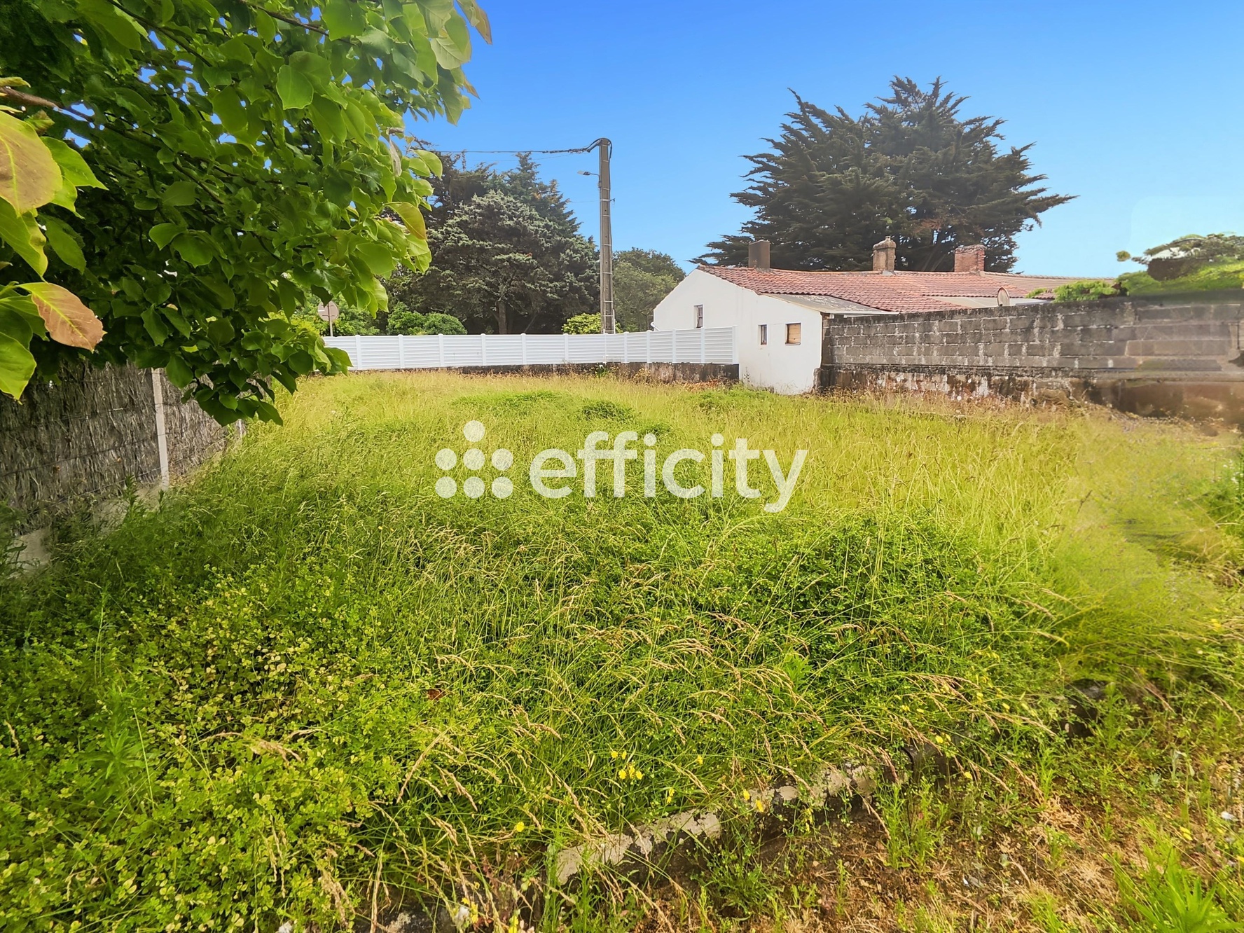 terrain  - 331,0m2 à Bretignolles-sur-Mer (85470)