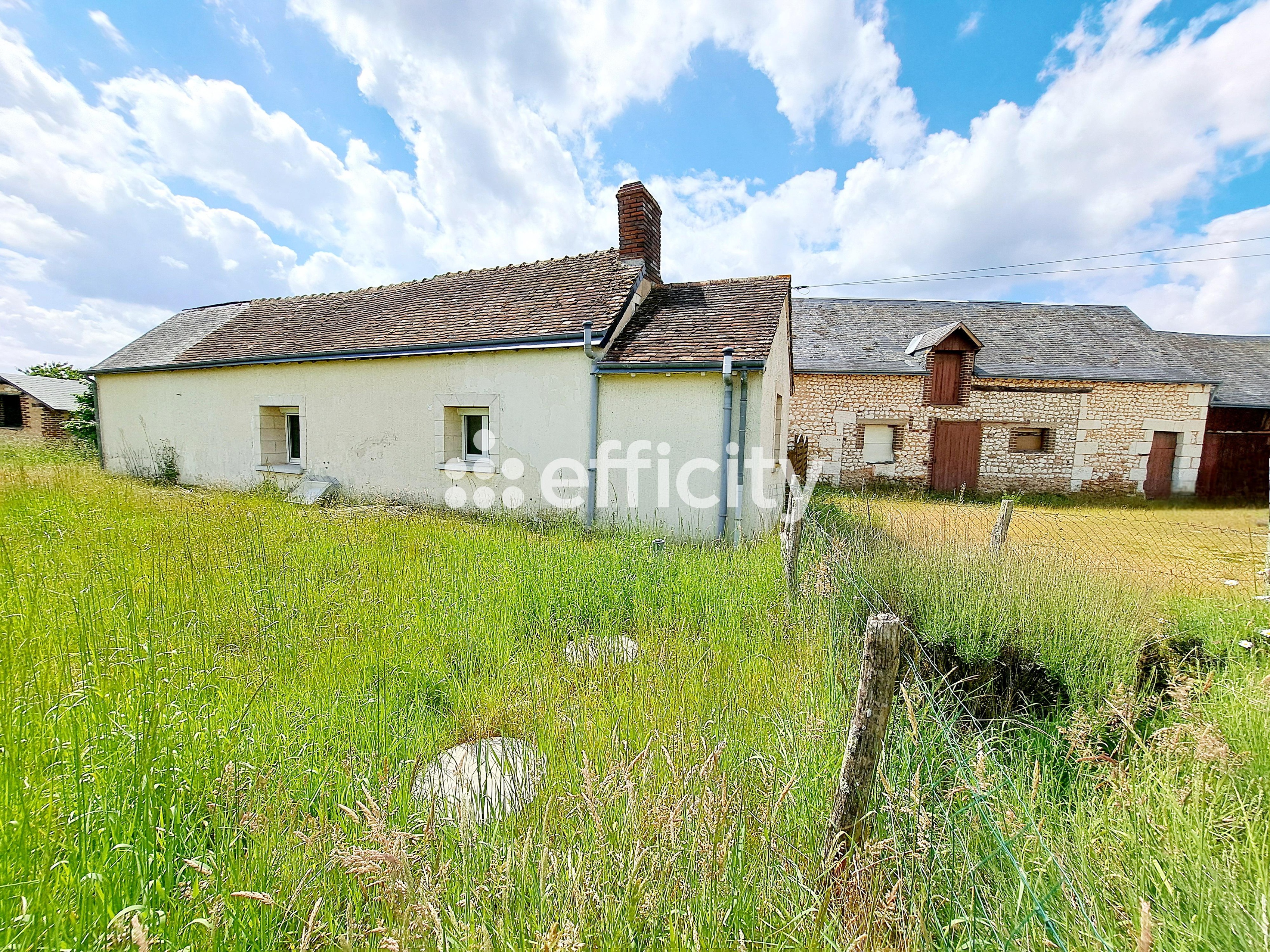 Achat immobilier Maison 4 pièces  52m2 à Vaas (72500) - Photo n°15