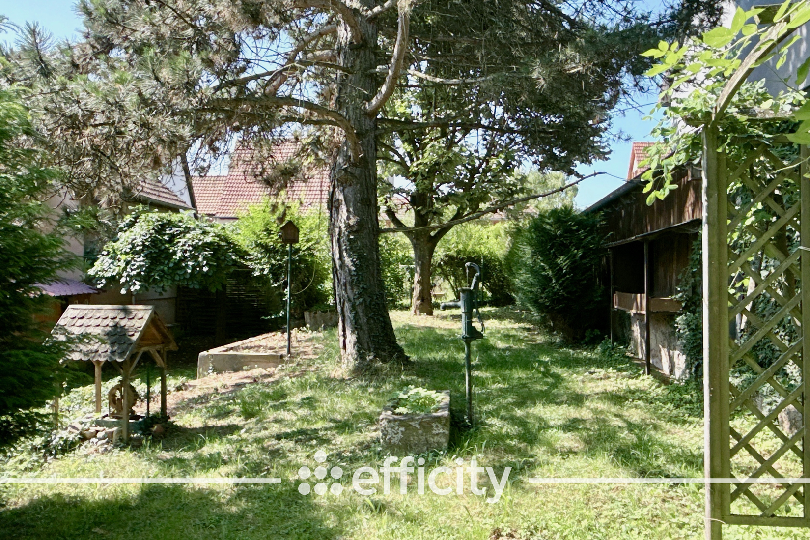 Achat immobilier Maison 10 pièces  202m2 à Heiligenstein (67140) - Photo n°6