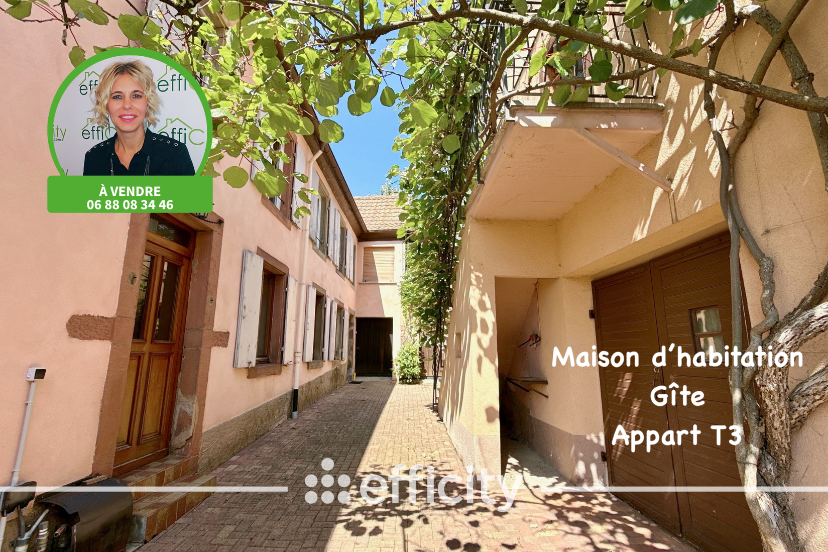 Achat immobilier Maison 10 pièces  202m2 à Heiligenstein (67140) - Photo n°1