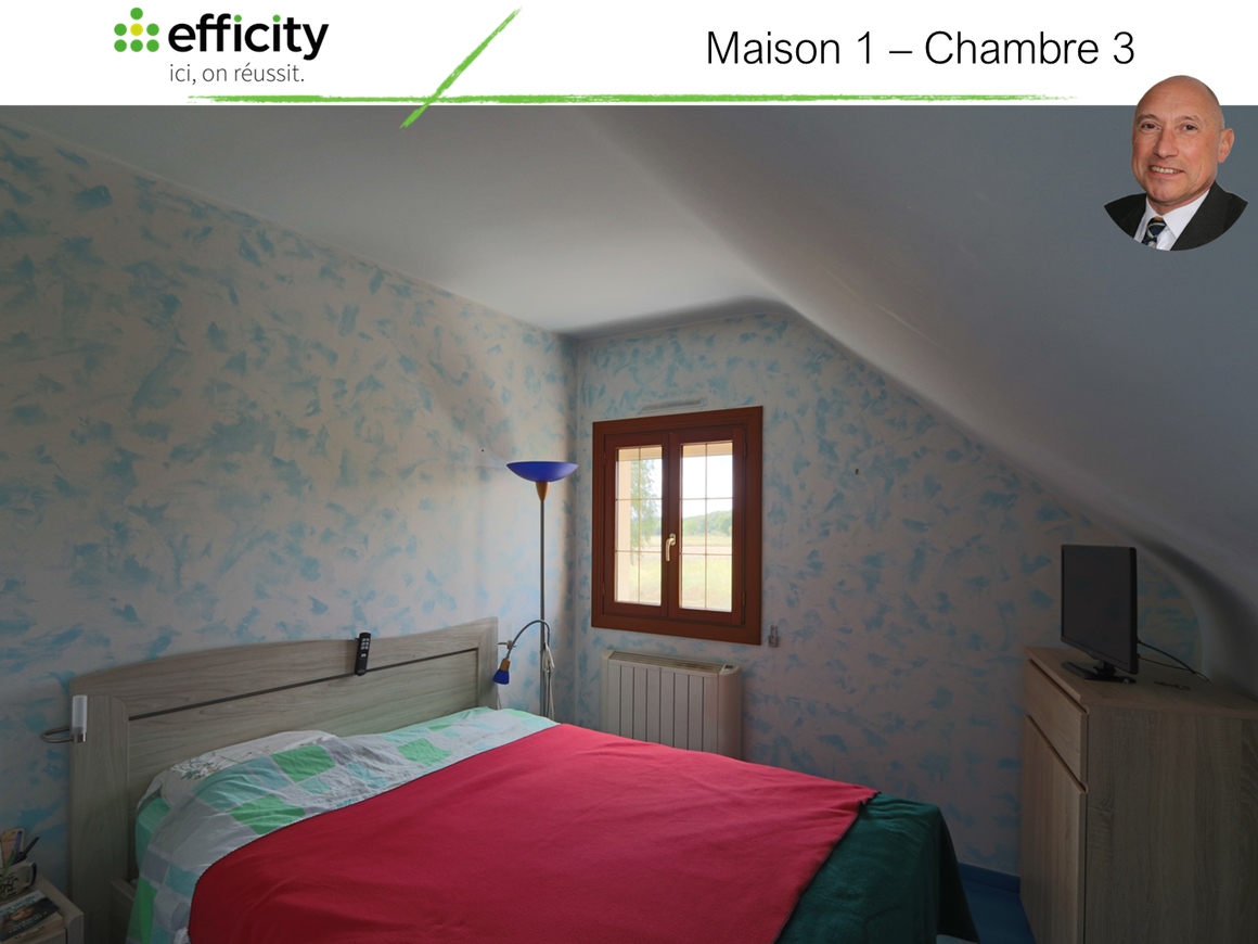 Achat immobilier Maison 12 pièces  210m2 à Fatines (72470) - Photo n°10