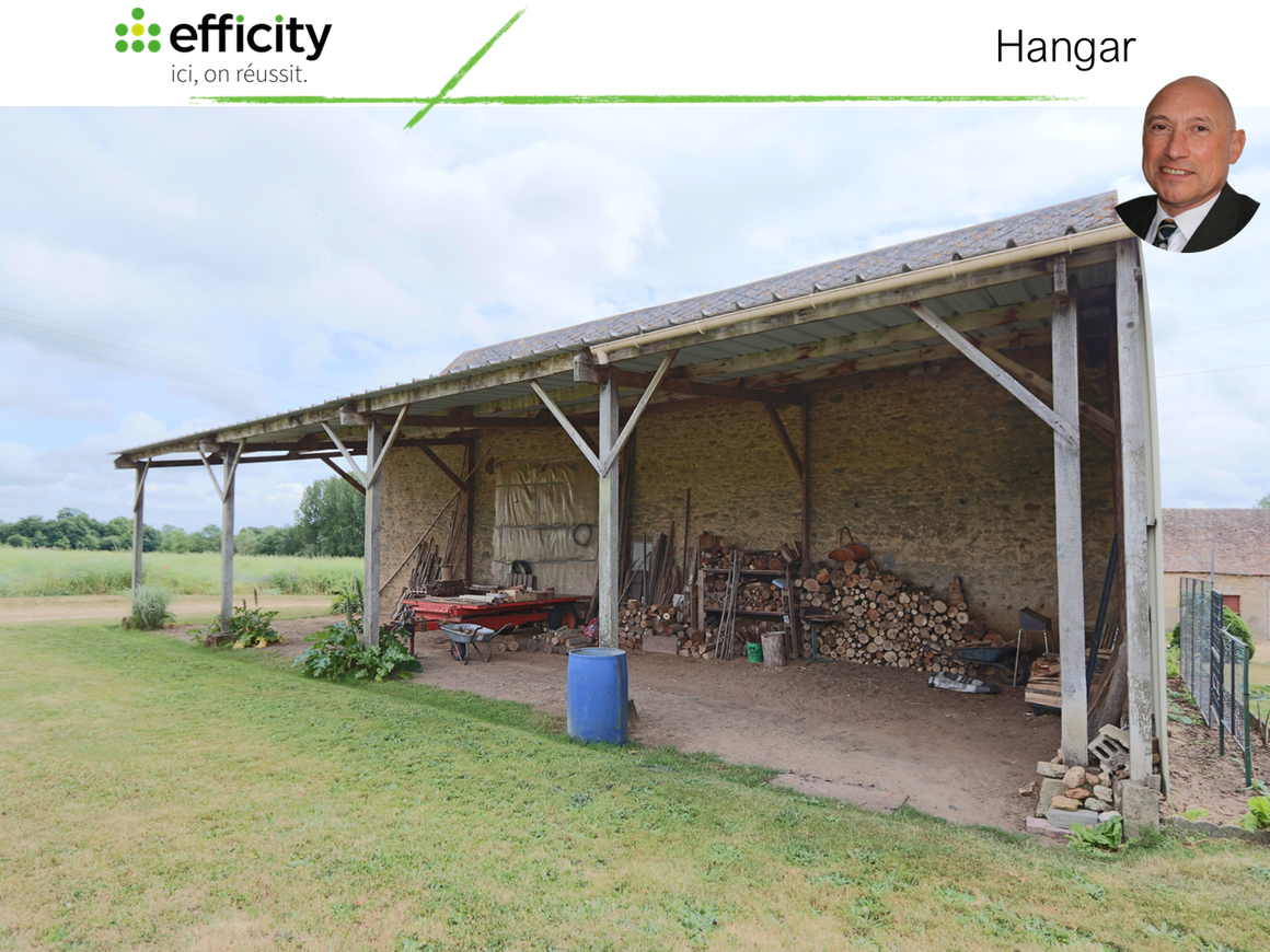 Achat immobilier Maison 12 pièces  210m2 à Fatines (72470) - Photo n°15