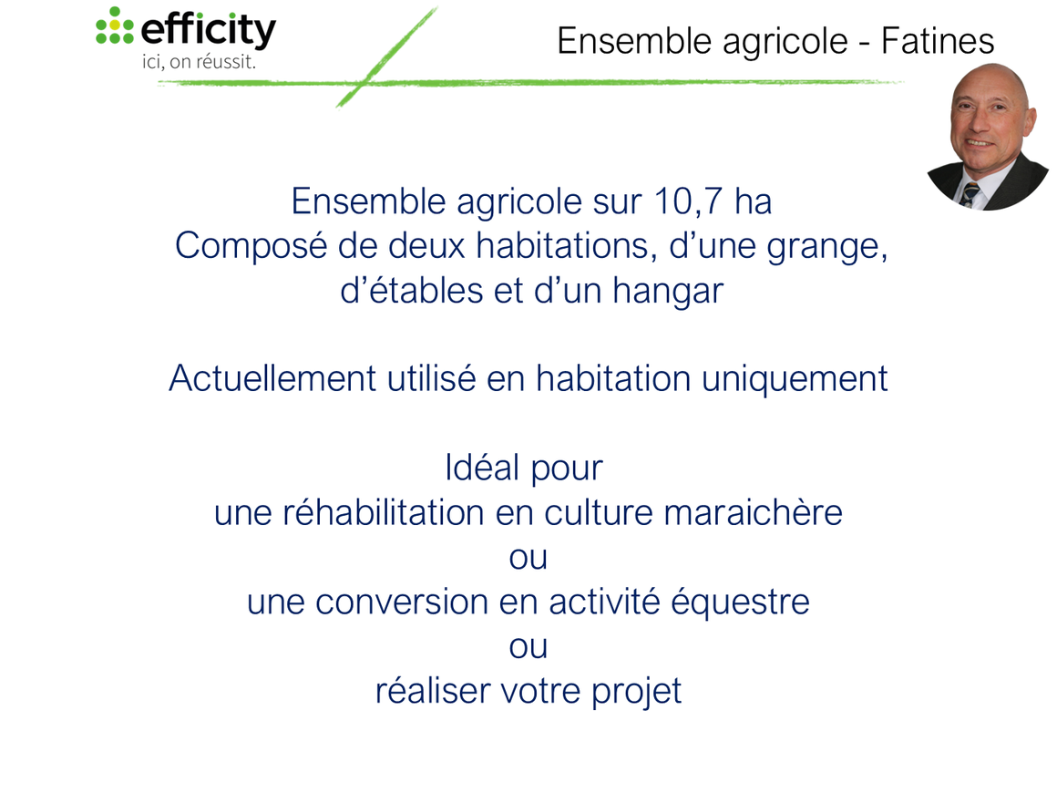 Achat immobilier Maison 12 pièces  210m2 à Fatines (72470) - Photo n°19