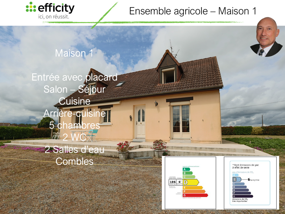 Achat immobilier Maison 12 pièces  210m2 à Fatines (72470) - Photo n°20