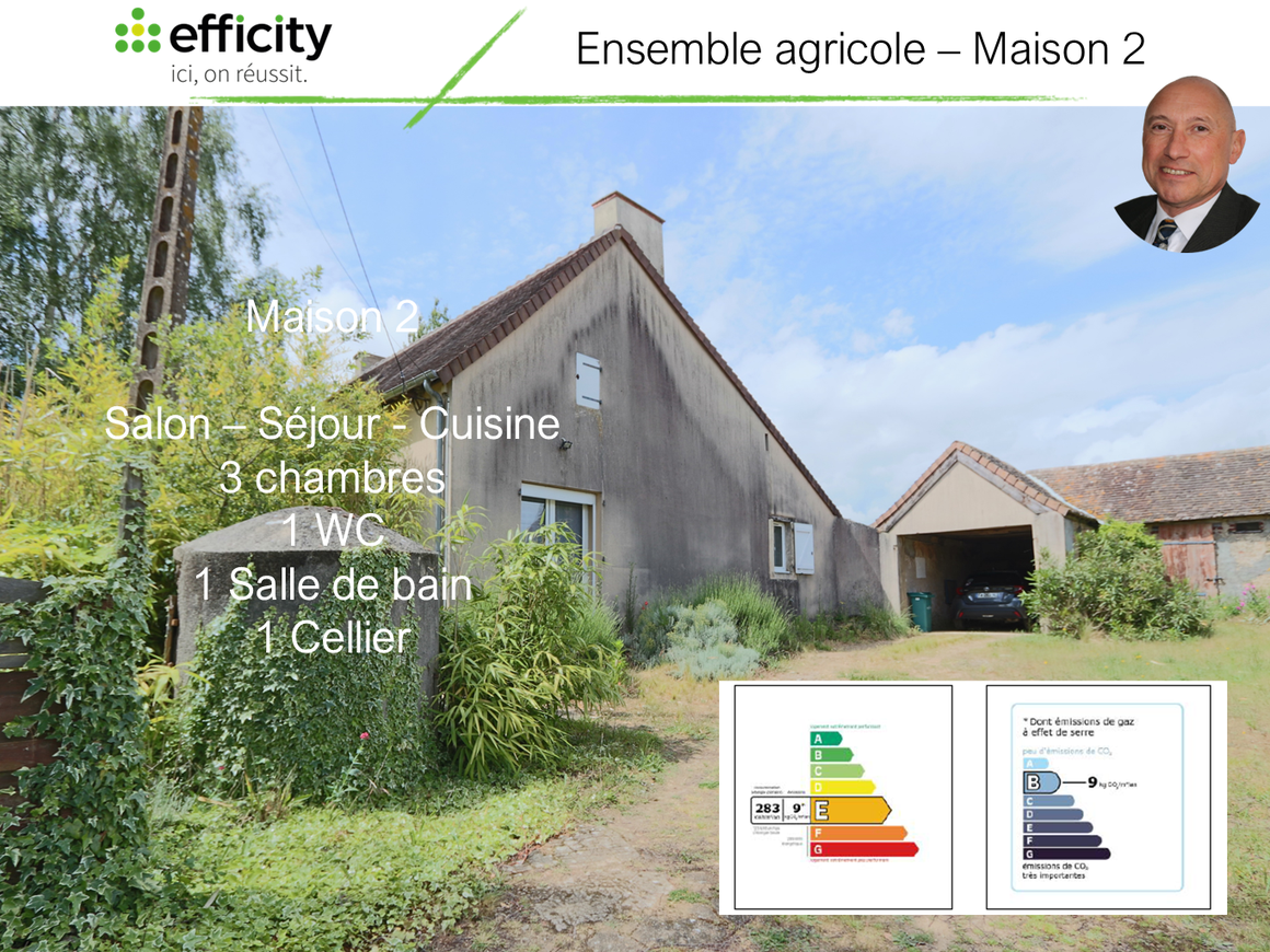 Achat immobilier Maison 12 pièces  210m2 à Fatines (72470) - Photo n°22