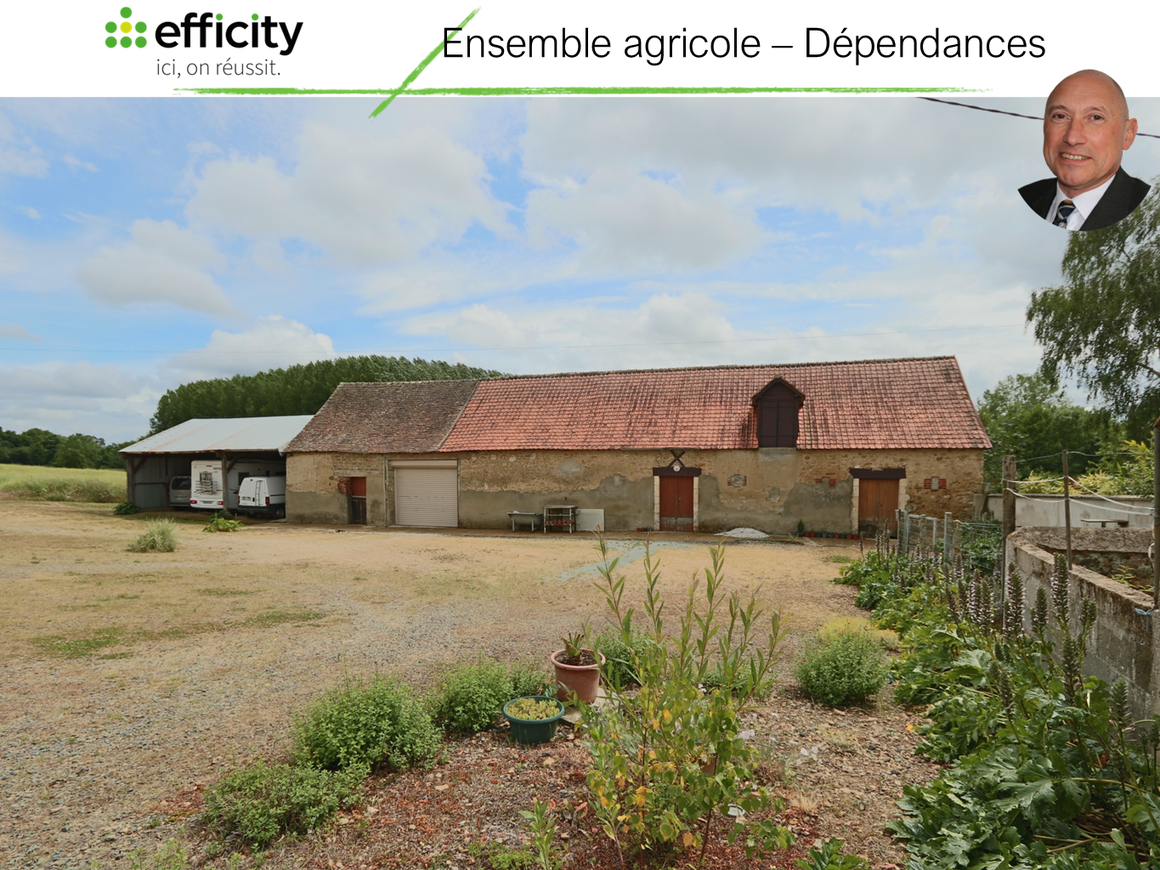 Achat immobilier Maison 12 pièces  210m2 à Fatines (72470) - Photo n°24