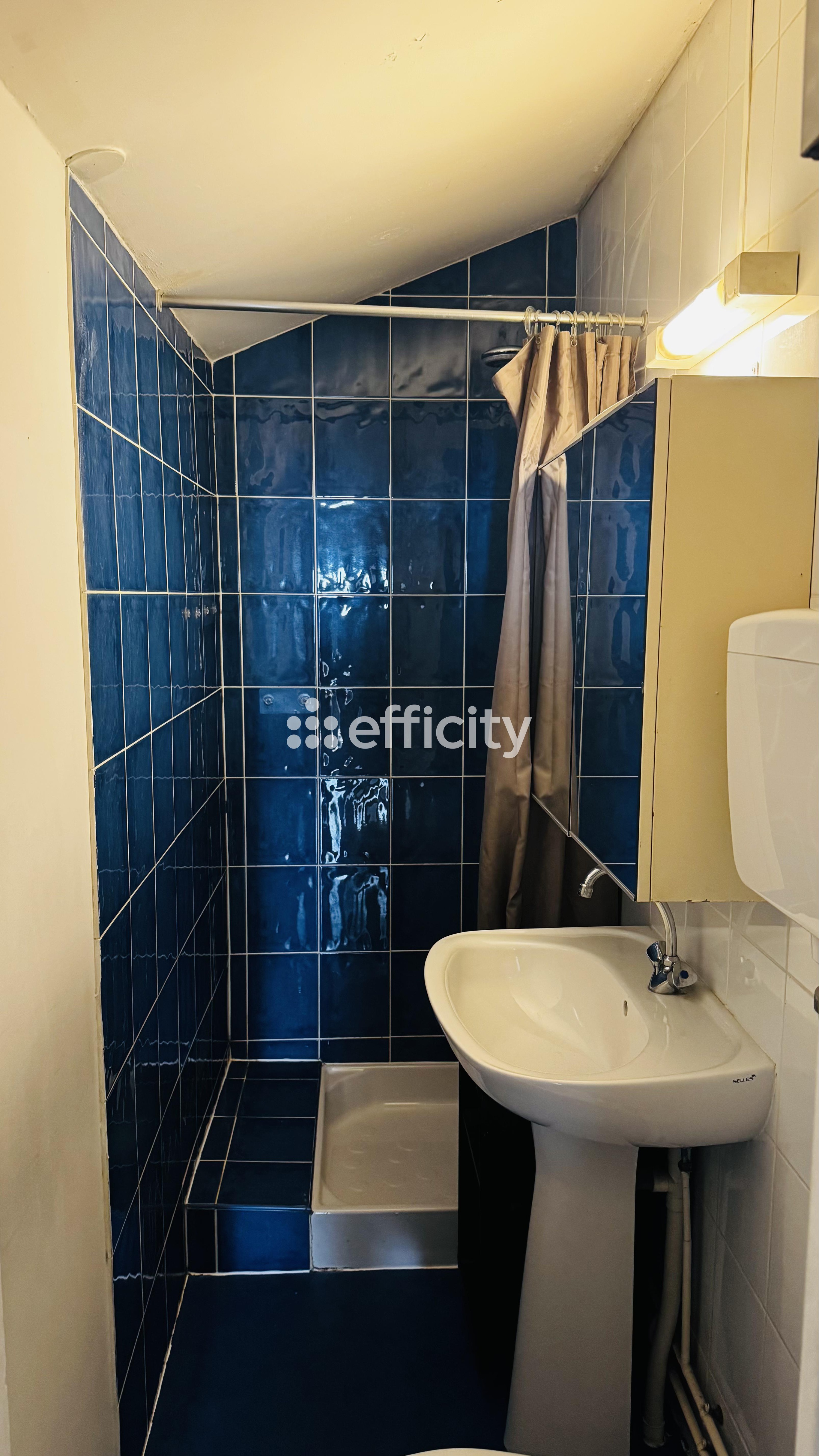 Achat immobilier Appartement 2 pièces  19m2 à Reims (51100) - Photo n°5