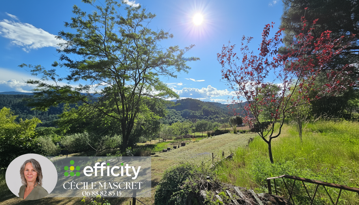 maison 3 pièces - 110,0m2 à Chambonas (07140)