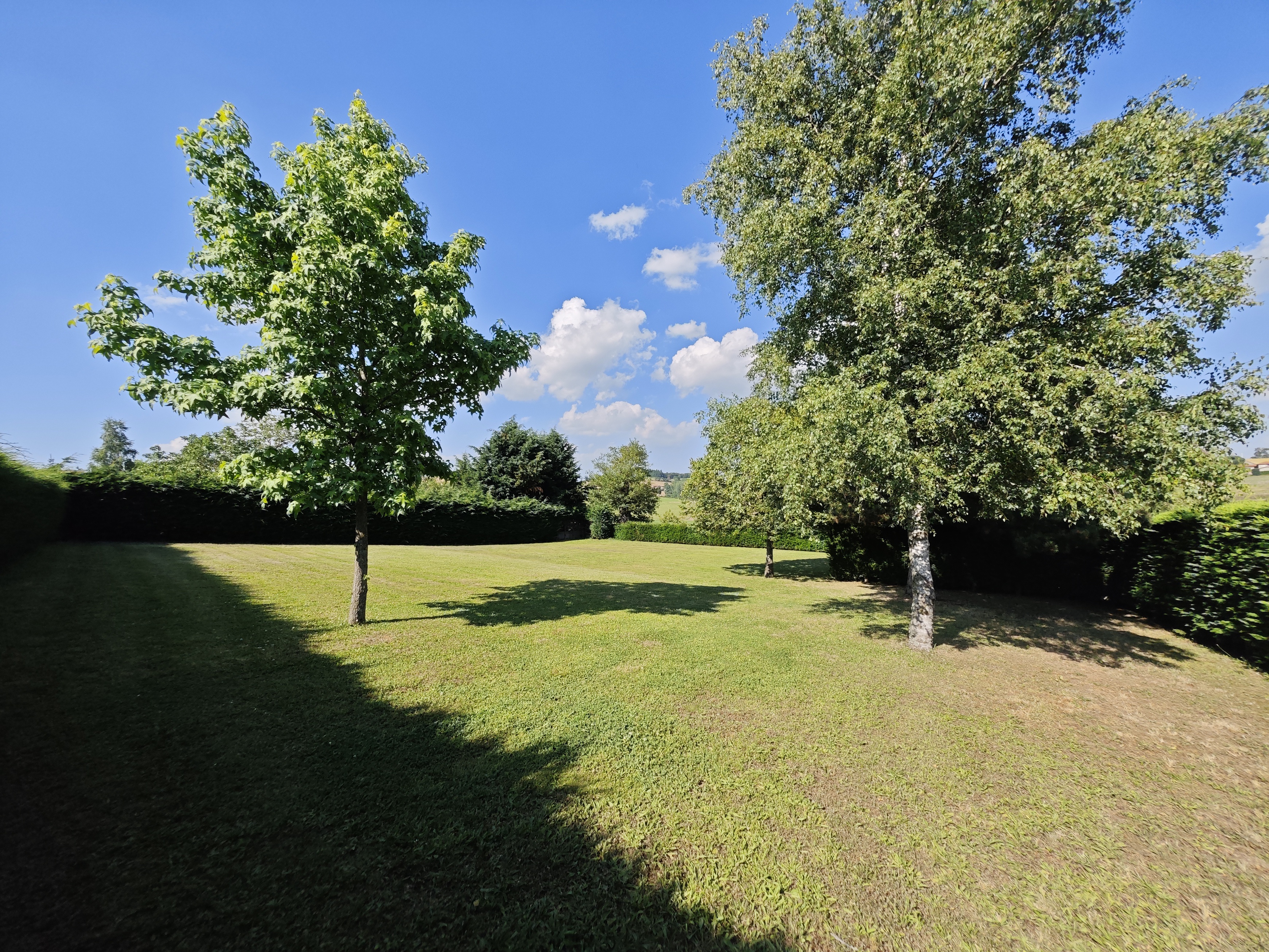 Achat immobilier Terrain   981m2 à Maringes (42140) - Photo n°4