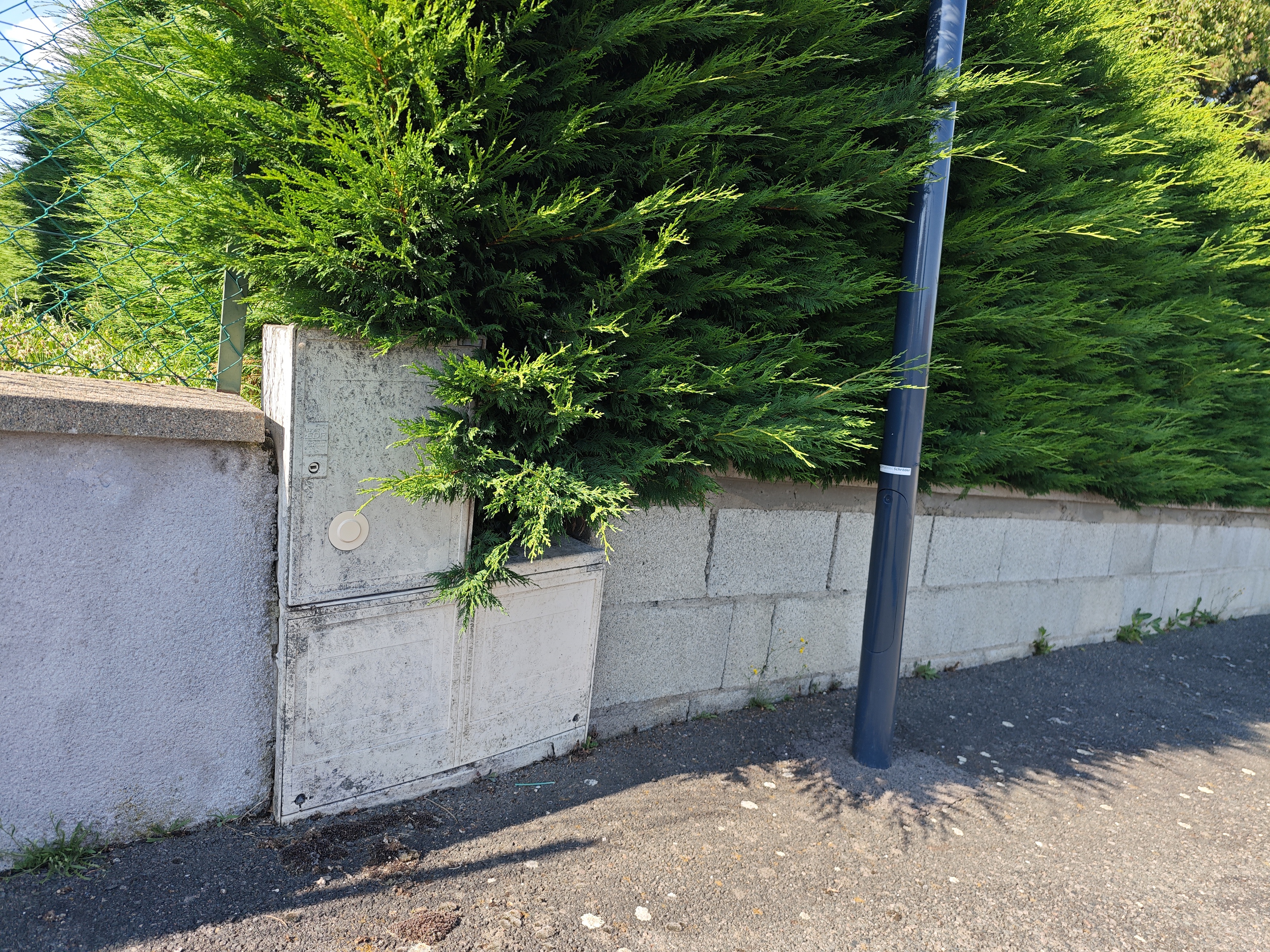 Achat immobilier Terrain   981m2 à Maringes (42140) - Photo n°5