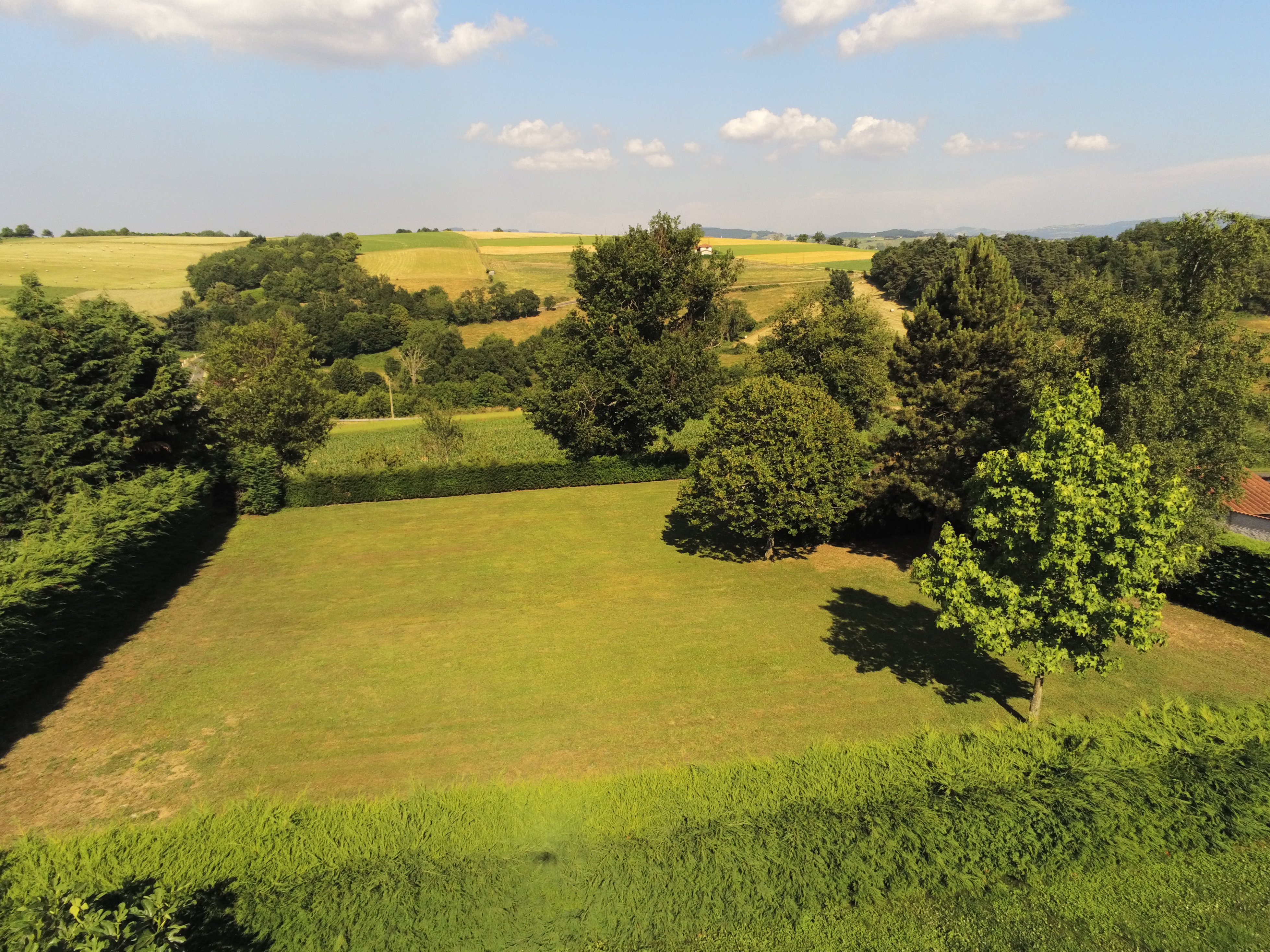 Achat immobilier Terrain   981m2 à Maringes (42140) - Photo n°7