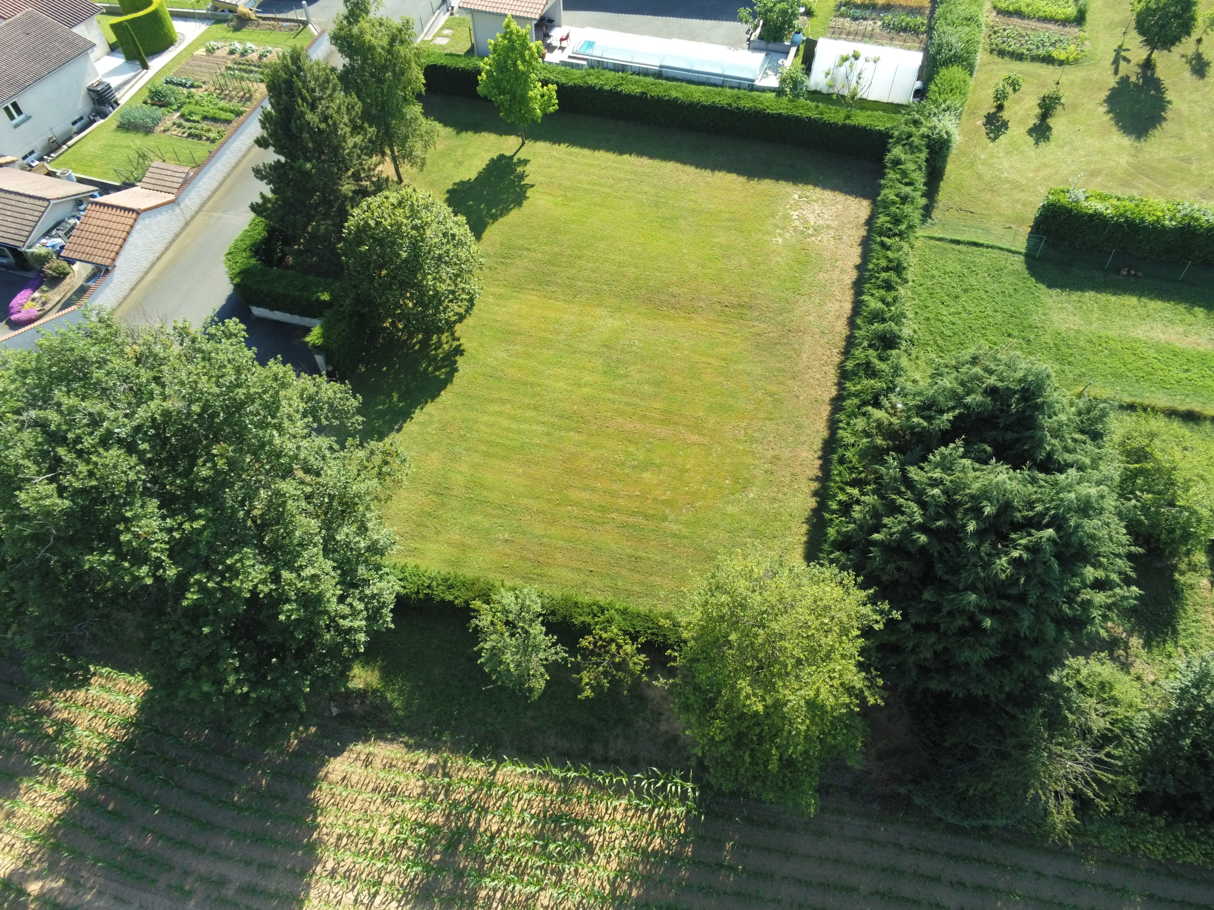 Achat immobilier Terrain   981m2 à Maringes (42140) - Photo n°9