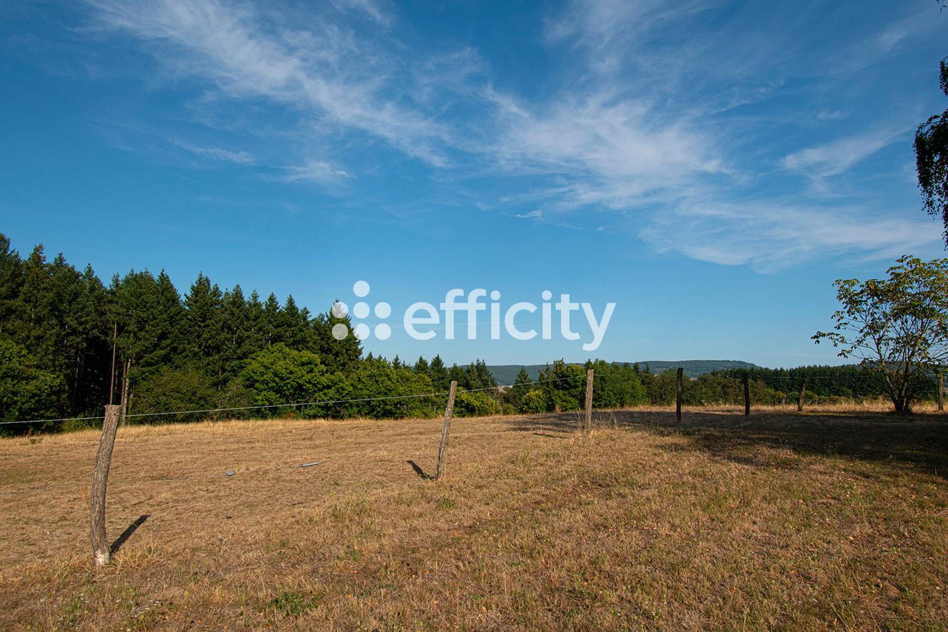 Achat immobilier Maison 13 pièces  480m2 à Sivignon (71220) - Photo n°36