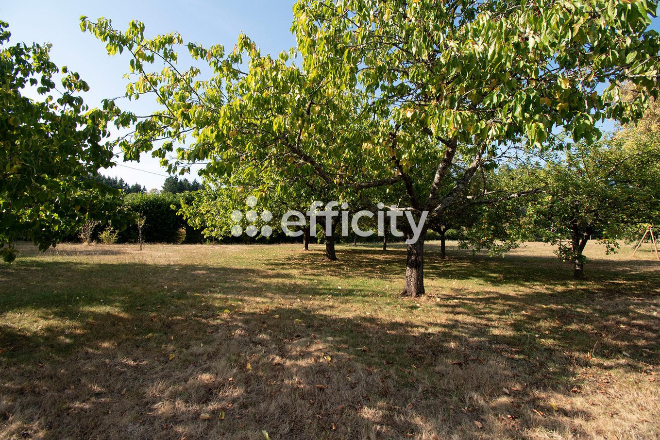 Achat immobilier Maison 13 pièces  480m2 à Sivignon (71220) - Photo n°37