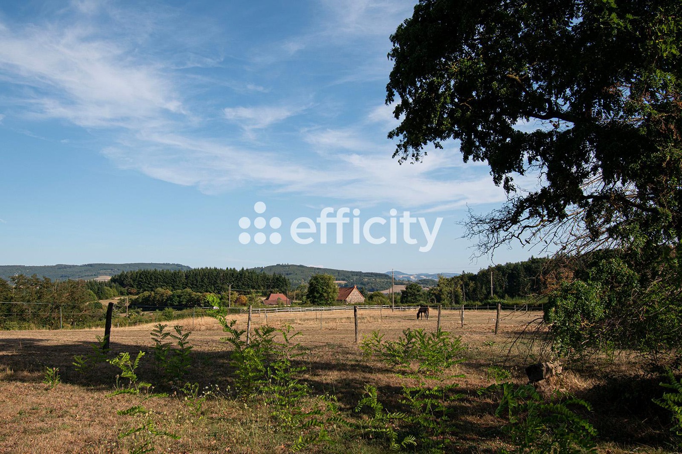 Achat immobilier Maison 13 pièces  480m2 à Sivignon (71220) - Photo n°6