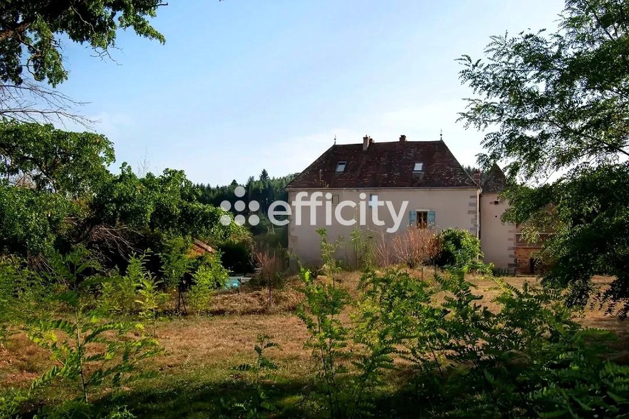 Achat immobilier Maison 13 pièces  480m2 à Sivignon (71220) - Photo n°7