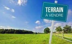 Achat immobilier Terrain   695m2 à Servas (01960) - Photo n°1