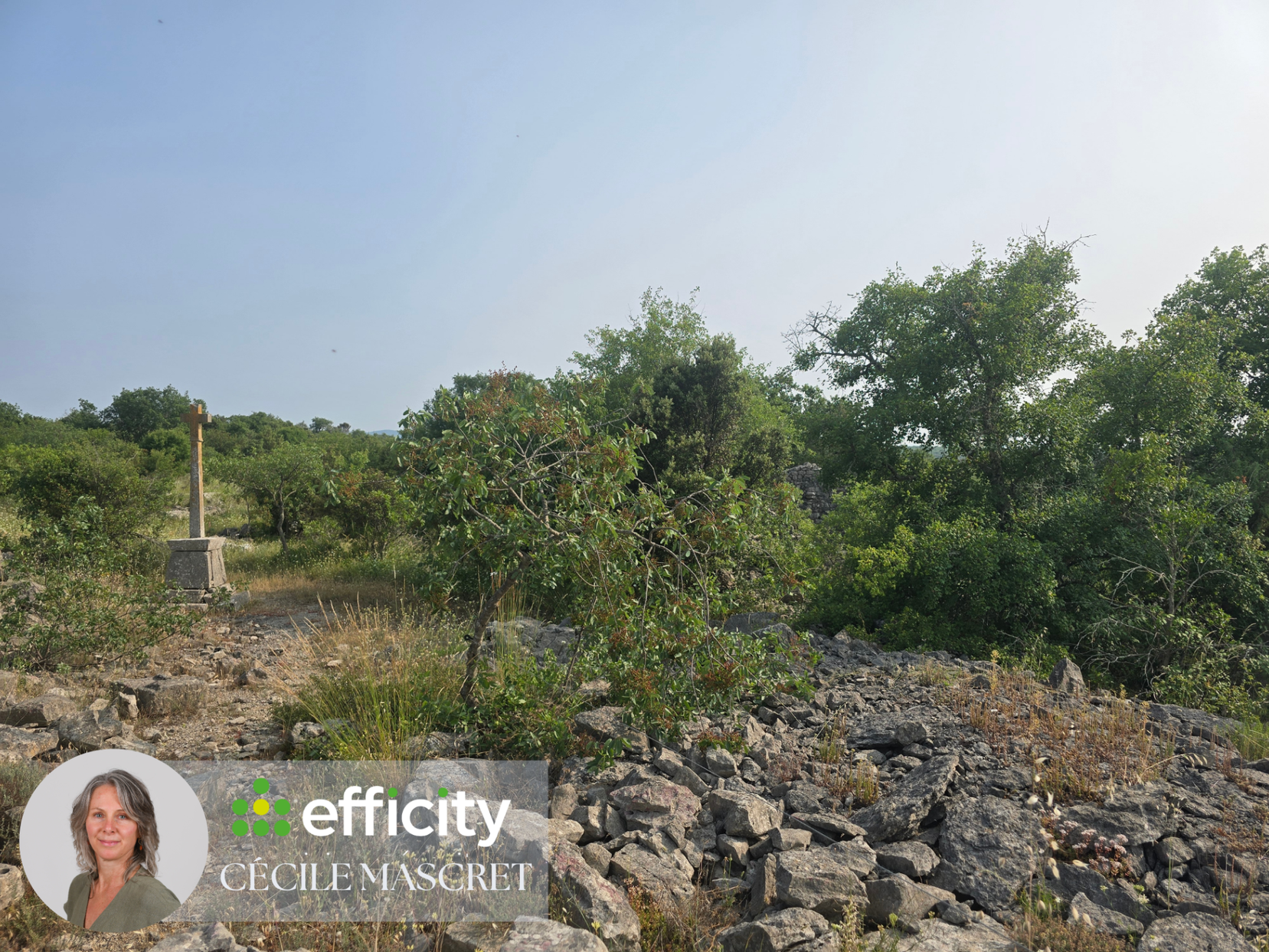 Achat immobilier Terrain   32000m2 à Labeaume (07120) - Photo n°11