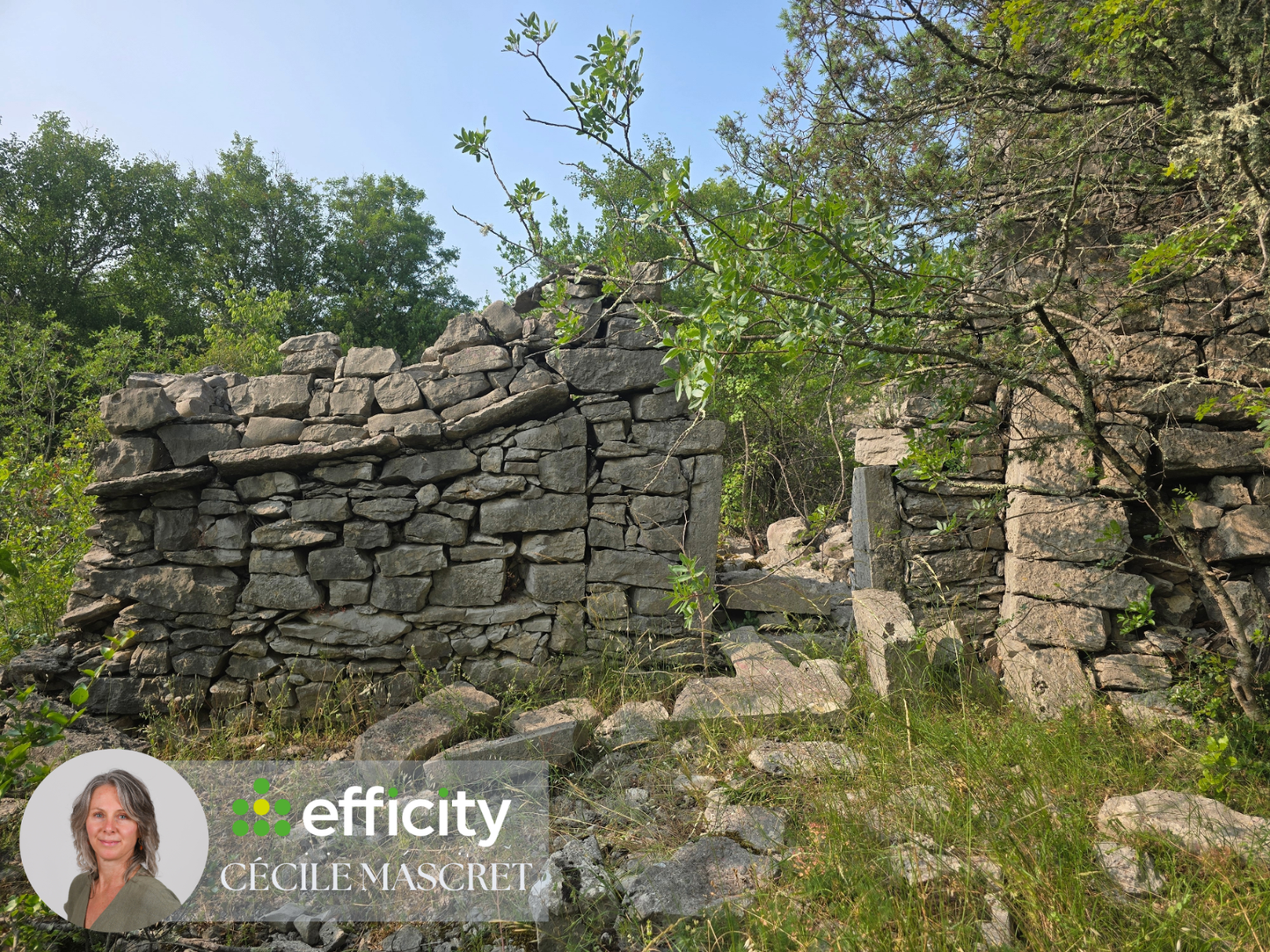 Achat immobilier Terrain   32000m2 à Labeaume (07120) - Photo n°12