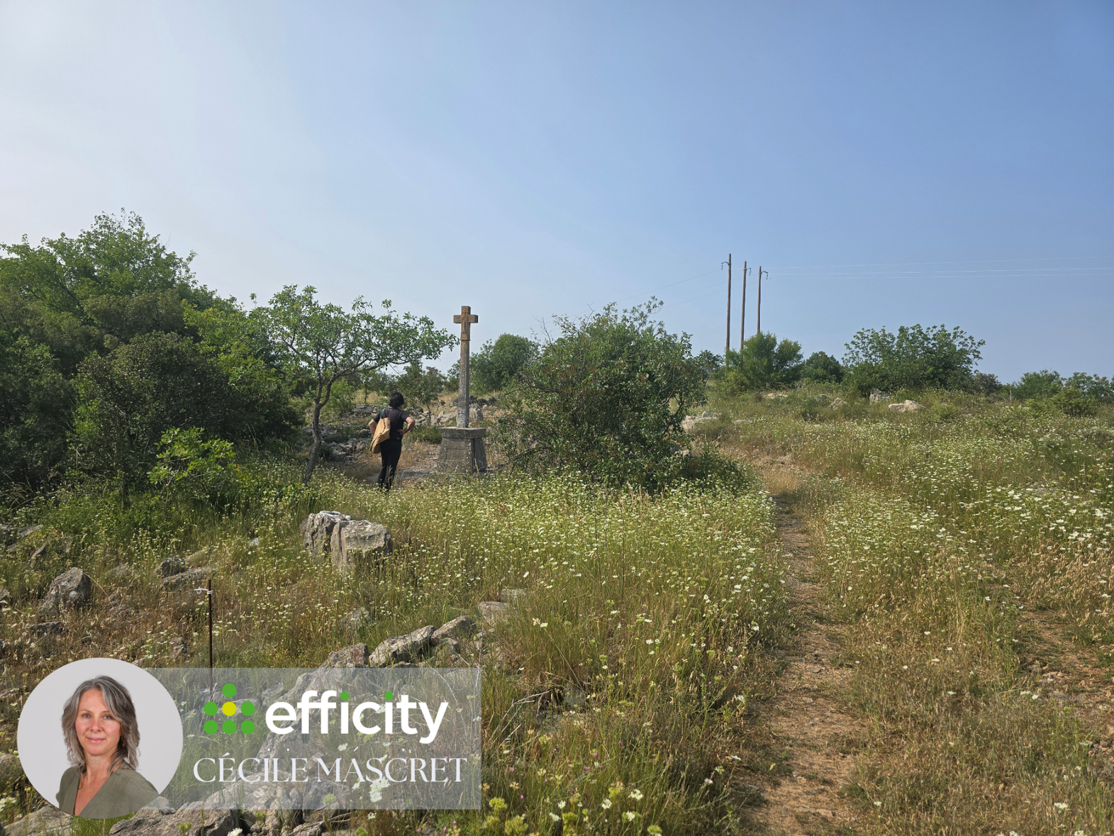 Achat immobilier Terrain   32000m2 à Labeaume (07120) - Photo n°4