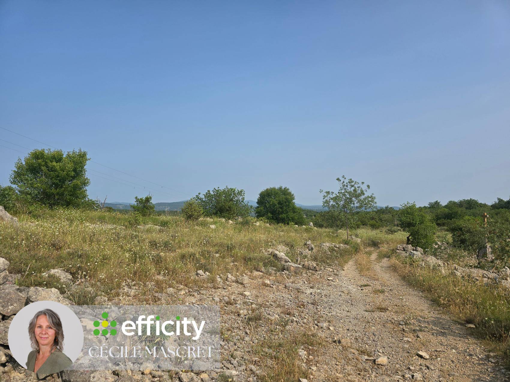 Achat immobilier Terrain   32000m2 à Labeaume (07120) - Photo n°5