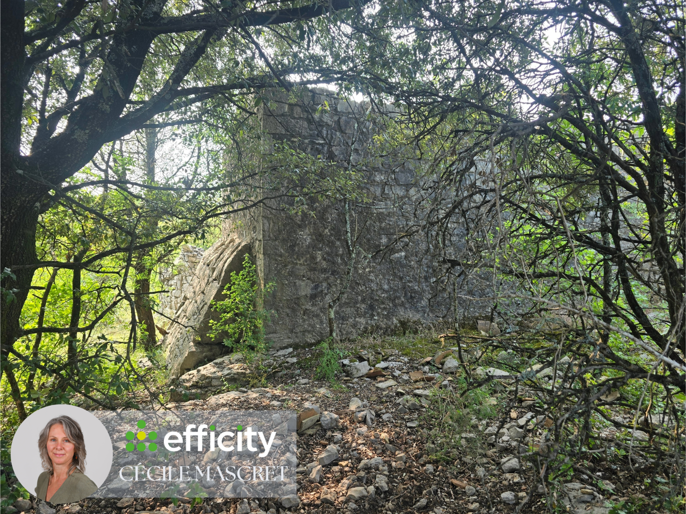 Achat immobilier Terrain   32000m2 à Labeaume (07120) - Photo n°6