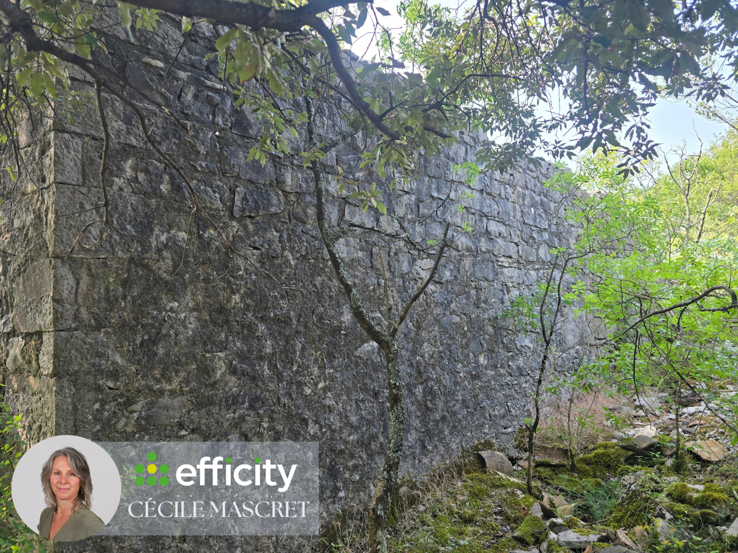 Achat immobilier Terrain   32000m2 à Labeaume (07120) - Photo n°7