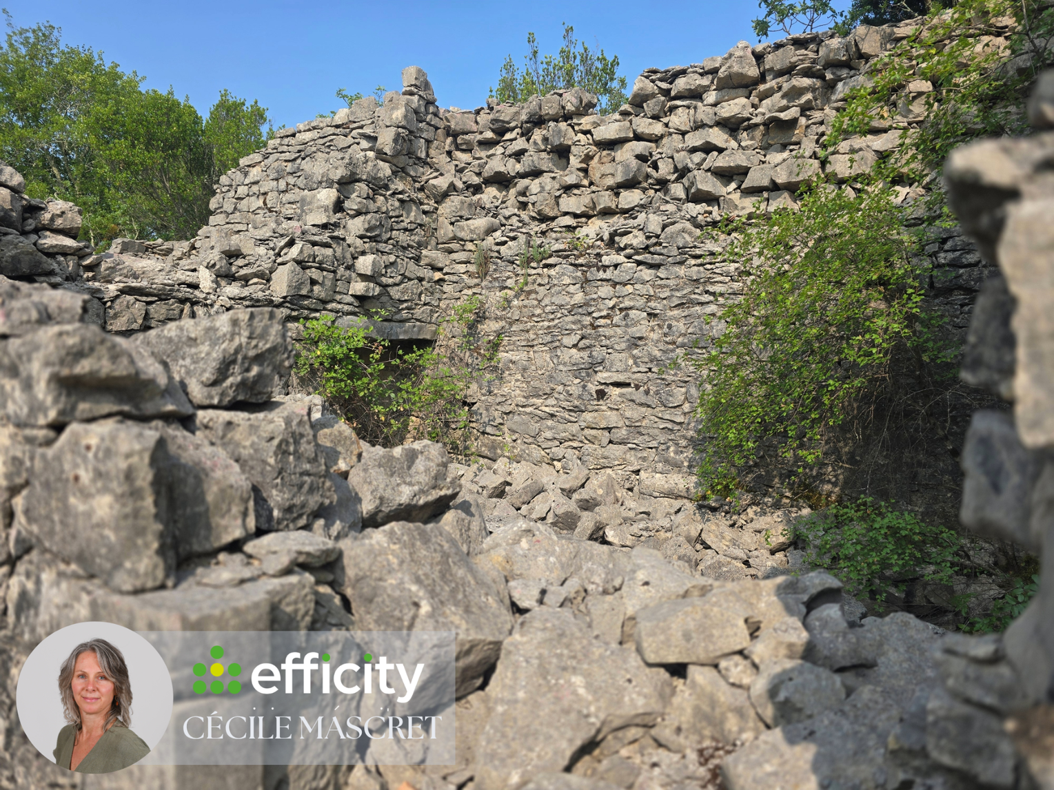 Achat immobilier Terrain   32000m2 à Labeaume (07120) - Photo n°8