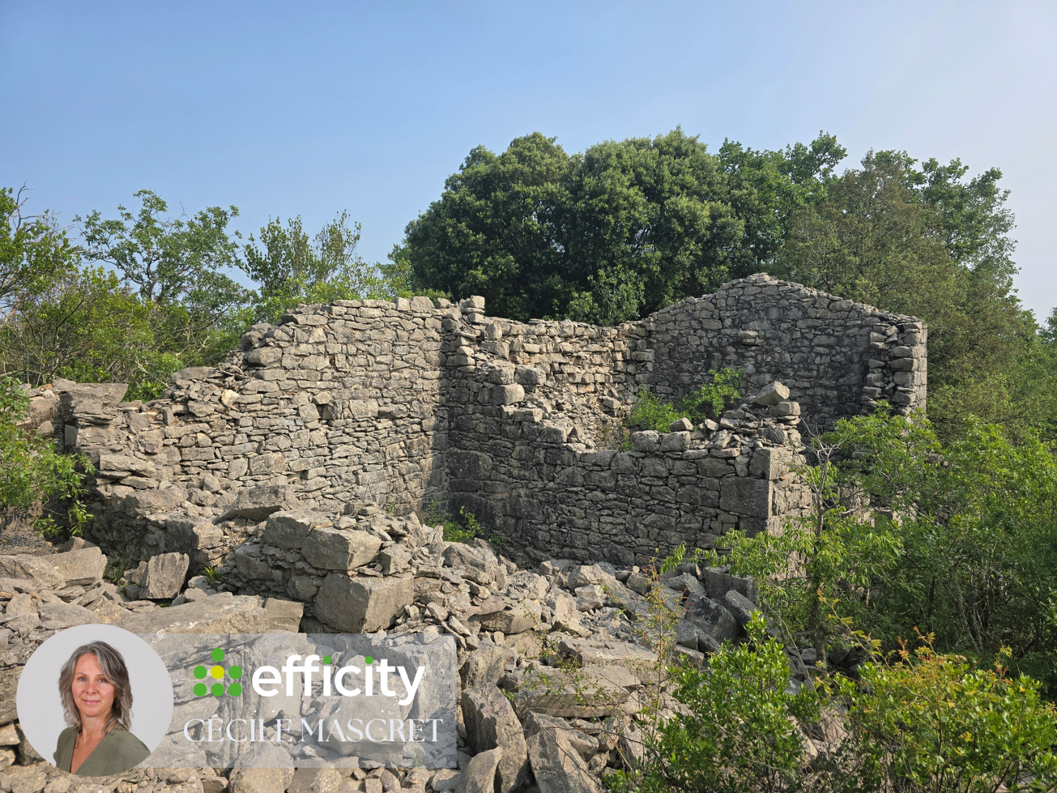 Achat immobilier Terrain   32000m2 à Labeaume (07120) - Photo n°9