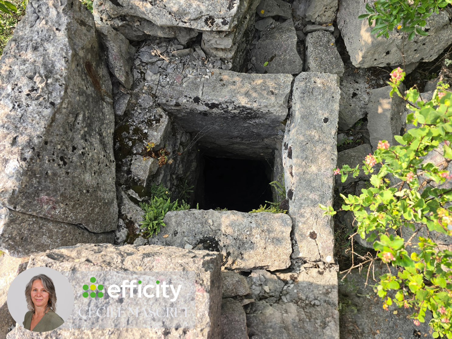 Achat immobilier Terrain   32000m2 à Labeaume (07120) - Photo n°10